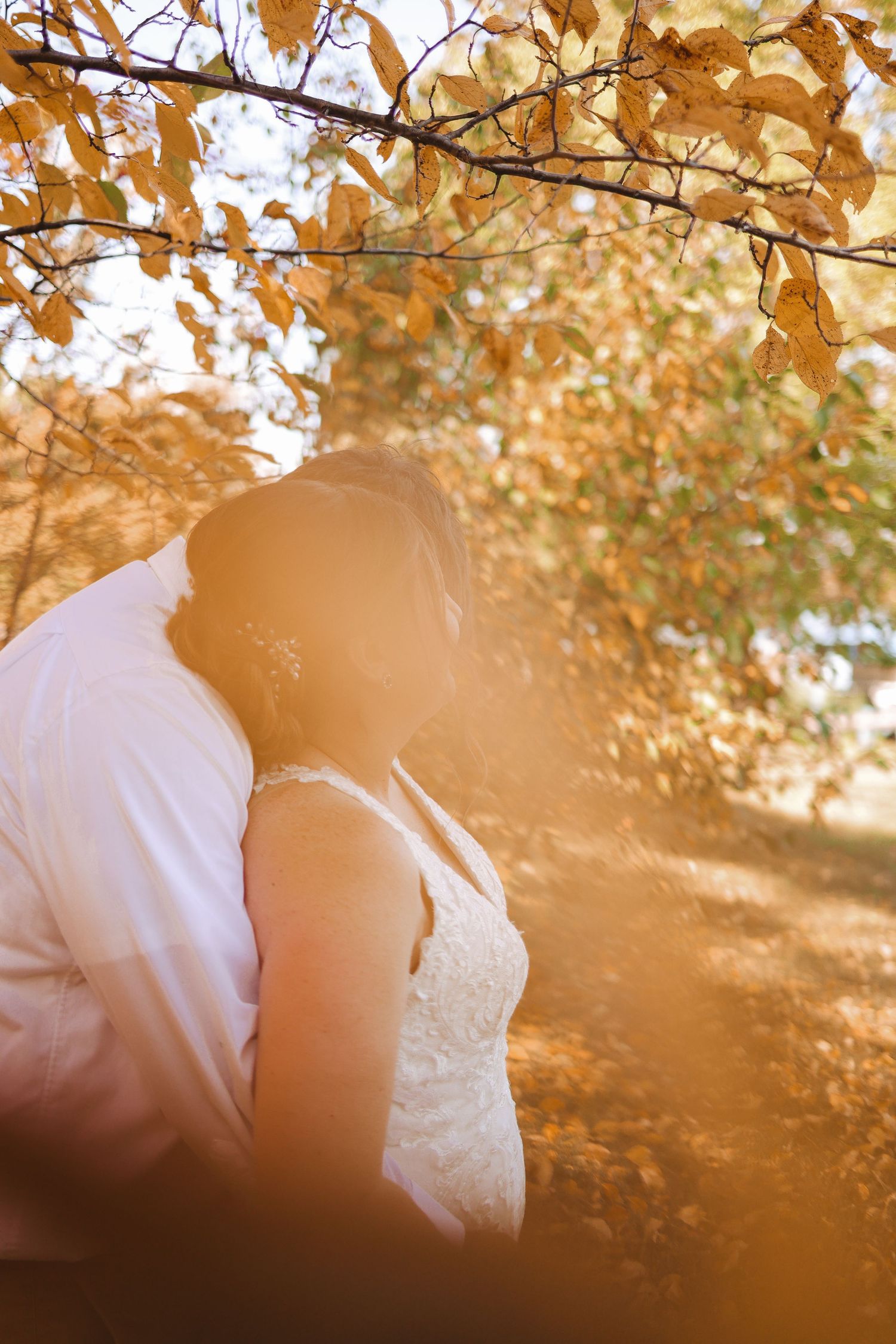 Central Minnesota Wedding Photographer