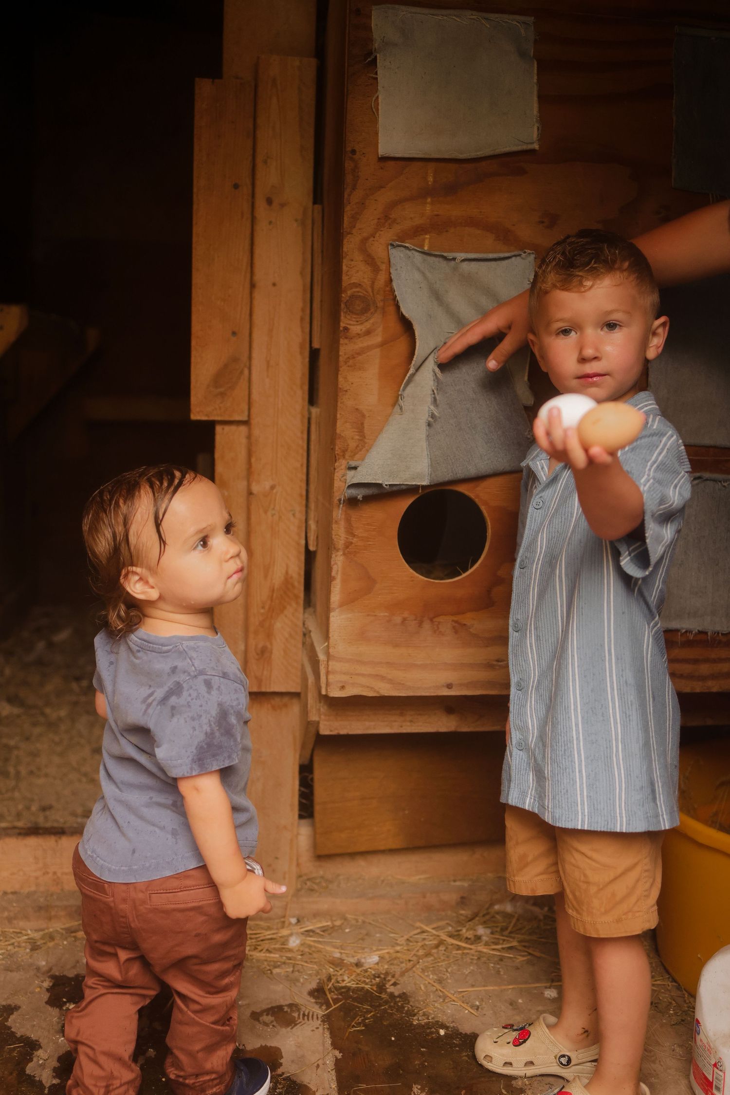 Perham Family Photographer