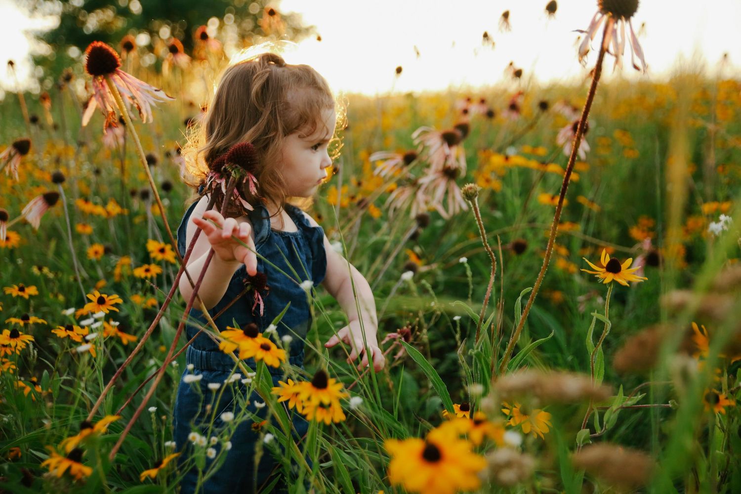 Minnesota Family Photographer. Central Minnesota Family Photographer. Family Photos.