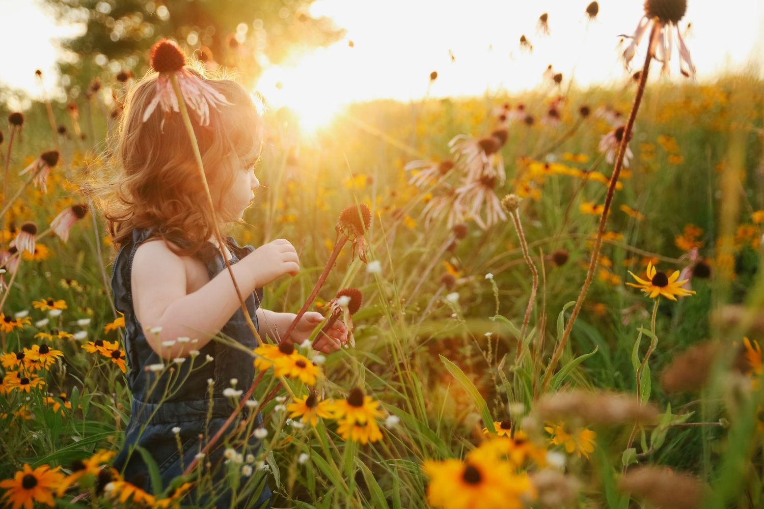 Minnesota Family Photographer. Central Minnesota Family Photographer. Family Photos.
