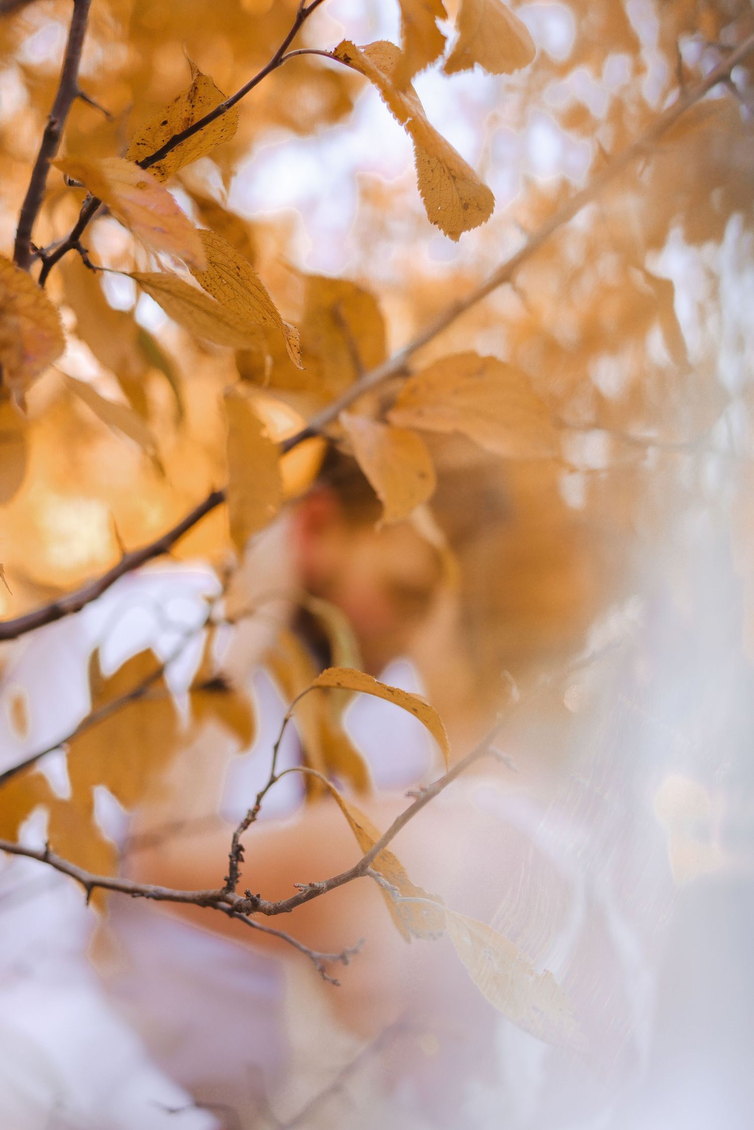 Central Minnesota Wedding Photographer