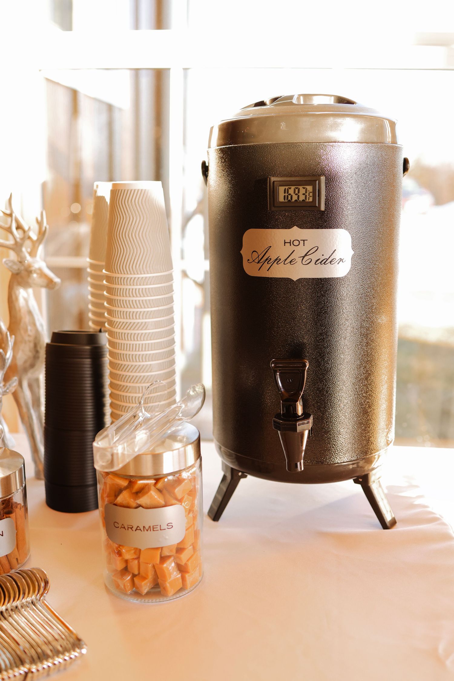 Fergus Falls Wedding Photographer