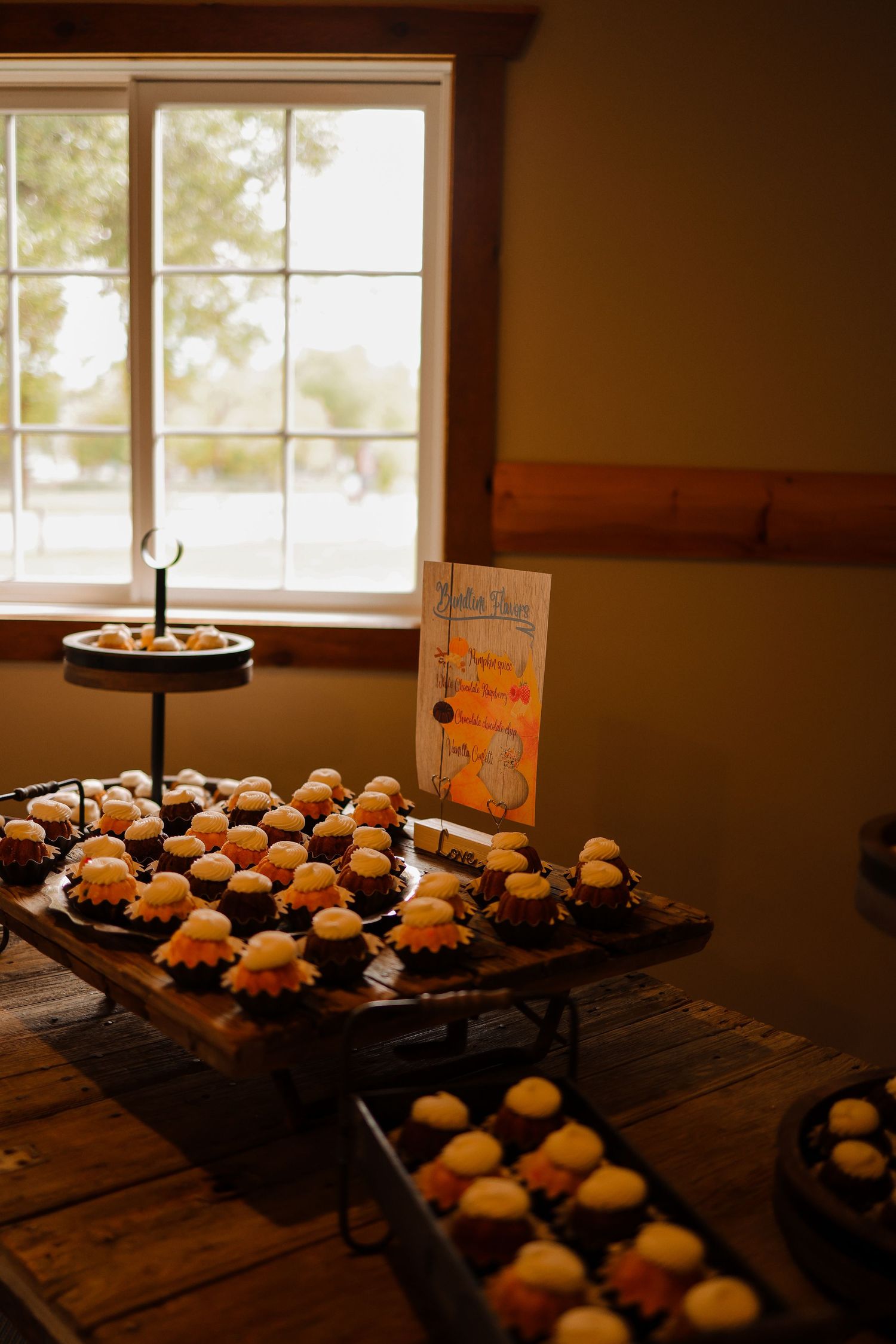 Pelican Rapids Wedding Photographer