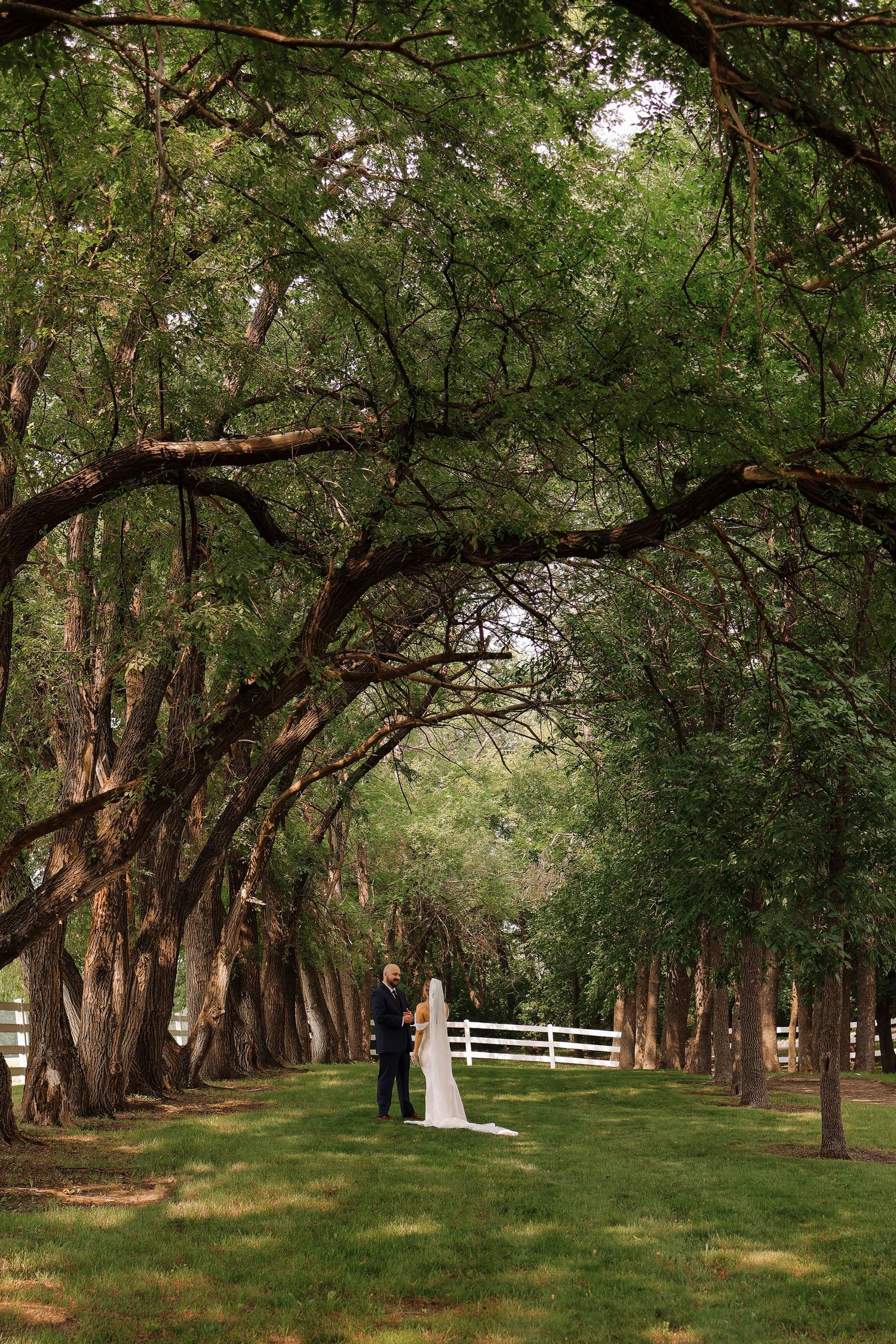Alexandria Wedding Photographer