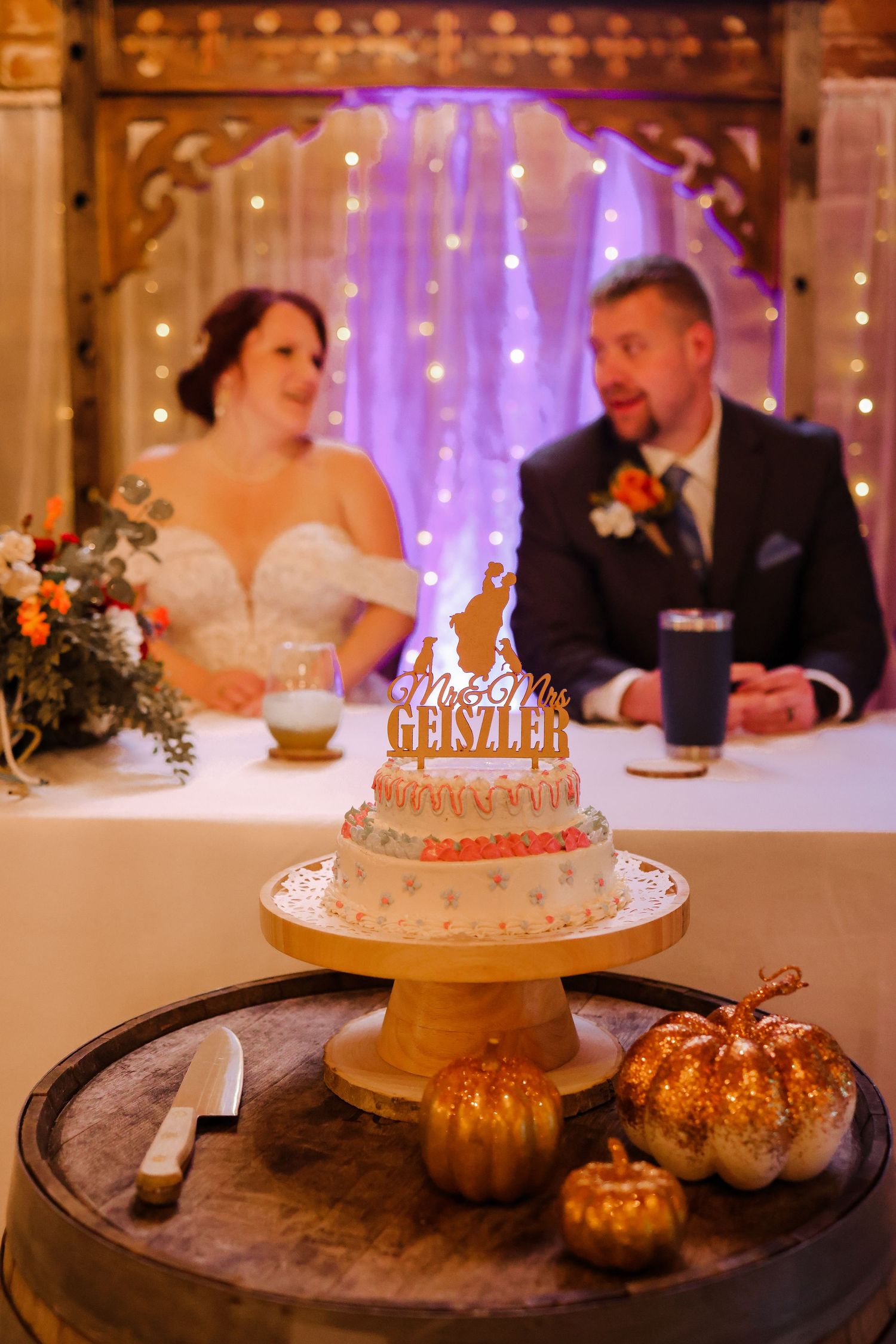 Detroit Lakes Wedding Photographer