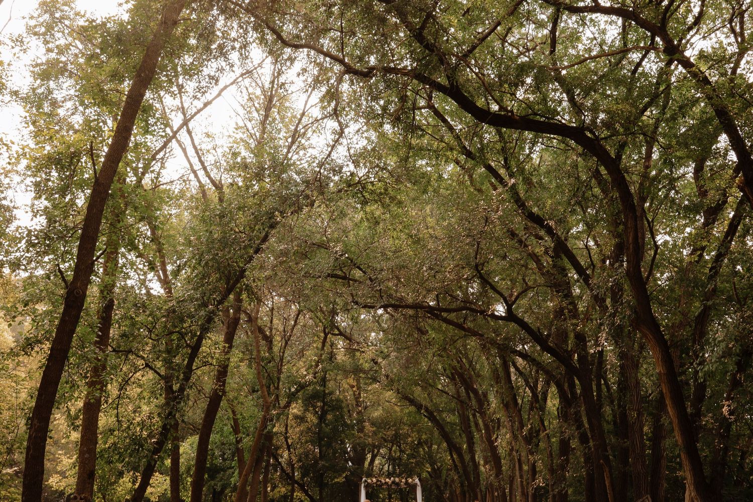 Alexandria Wedding Photographer