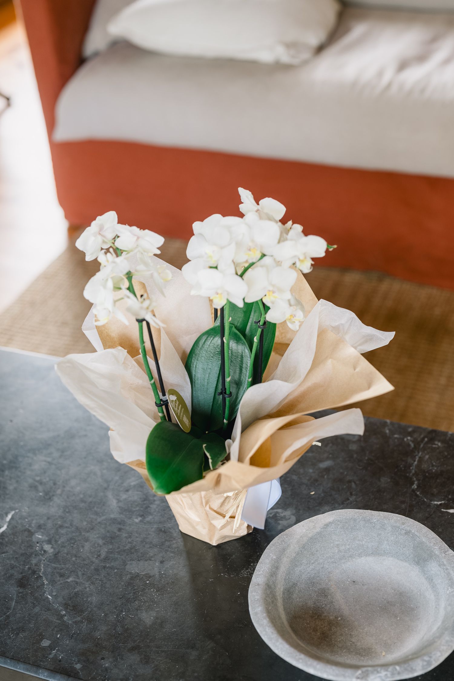 White coffee filters arranged to create delicate flower-like shapes with green stems against a dark stone surface.