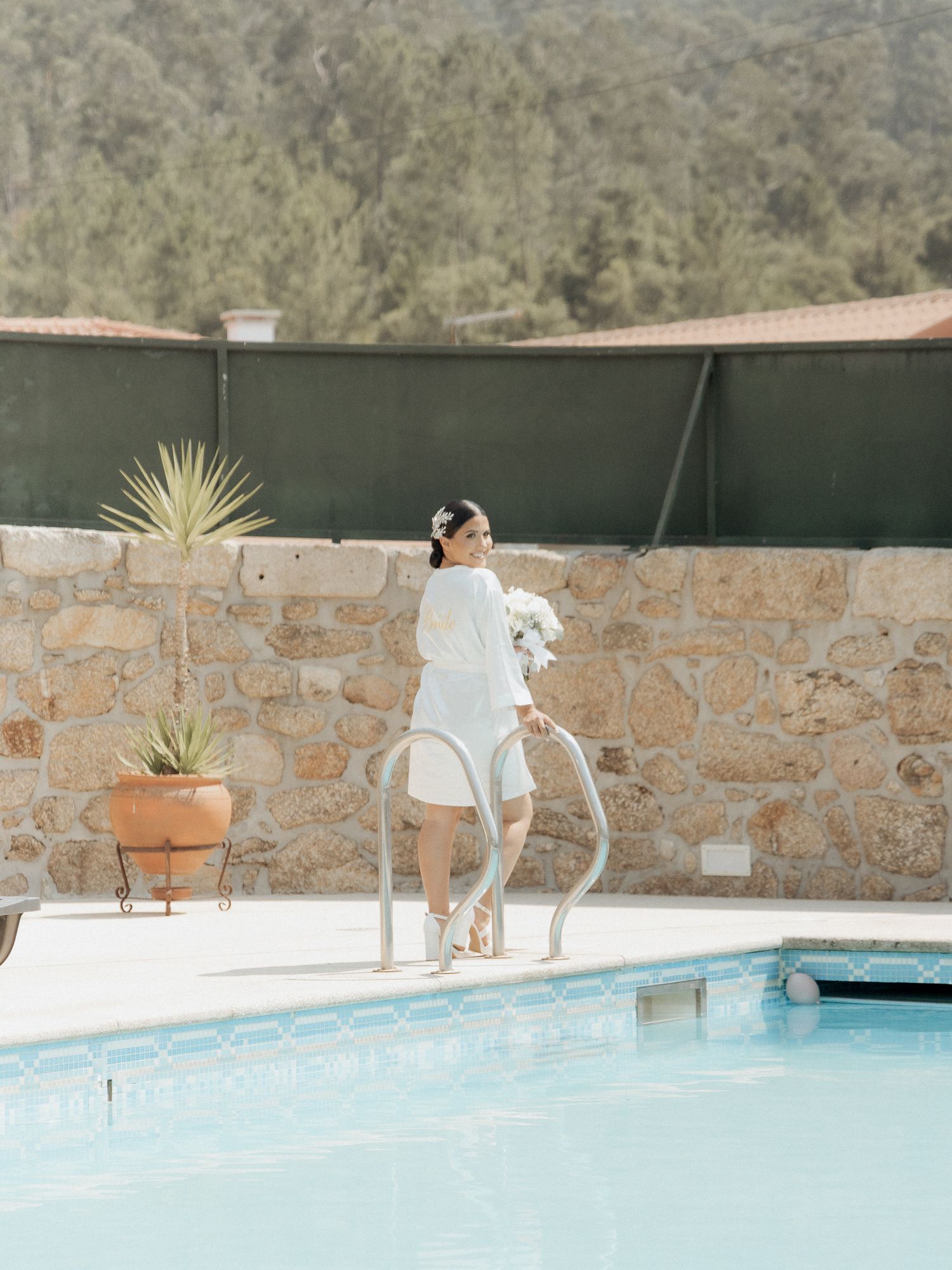 A sequence of photos shows a dog peeking over a stone wall next to a swimming pool in an outdoor setting.