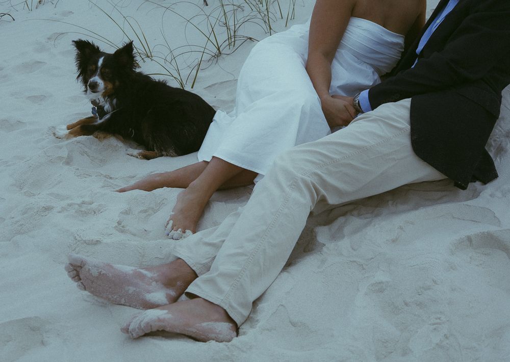 Couple in wedding attire sitting barefoot on sandy beach with small dog.