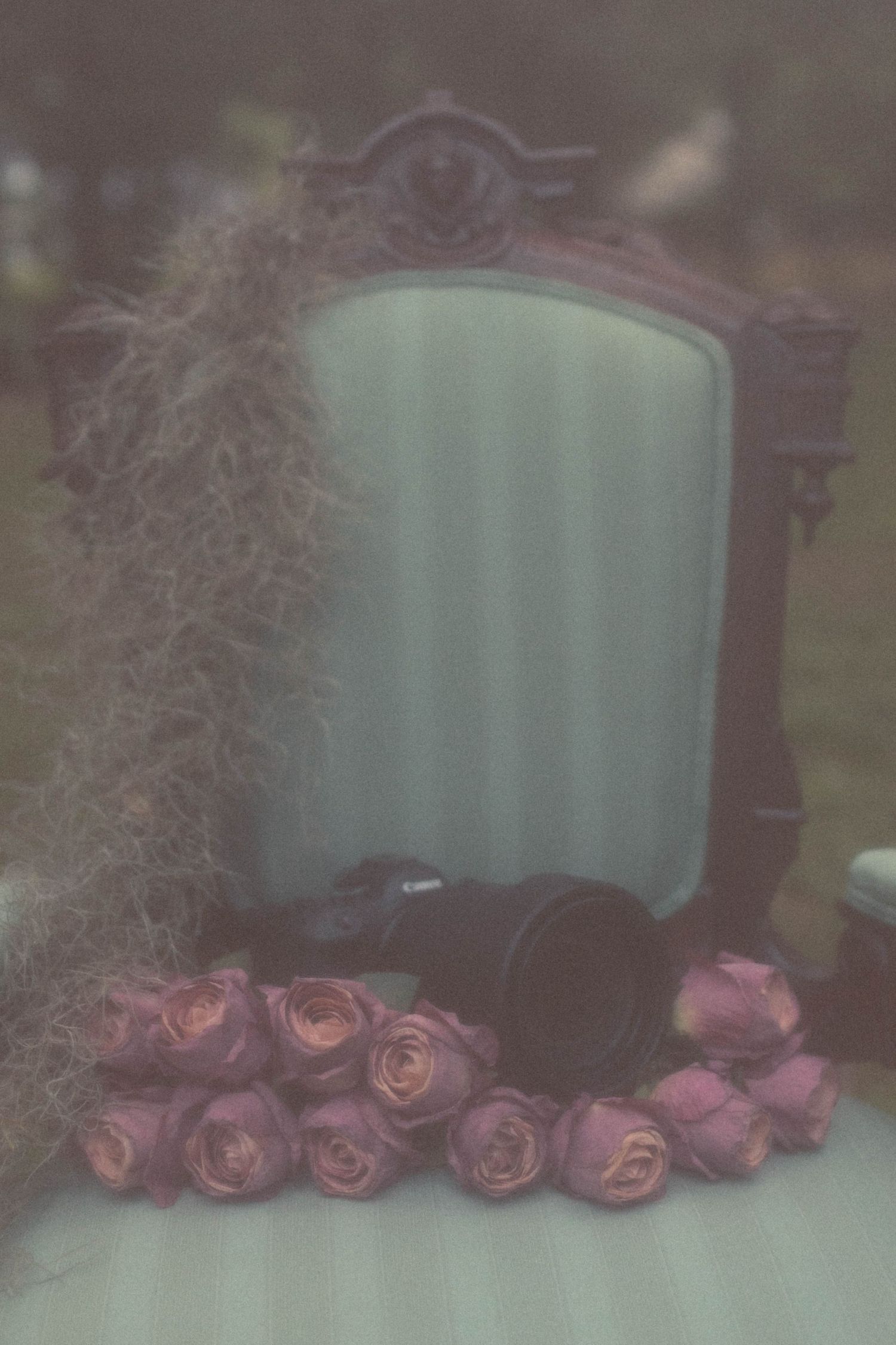 Vintage mirror with pink roses and Spanish moss in dreamy soft-focus setting.