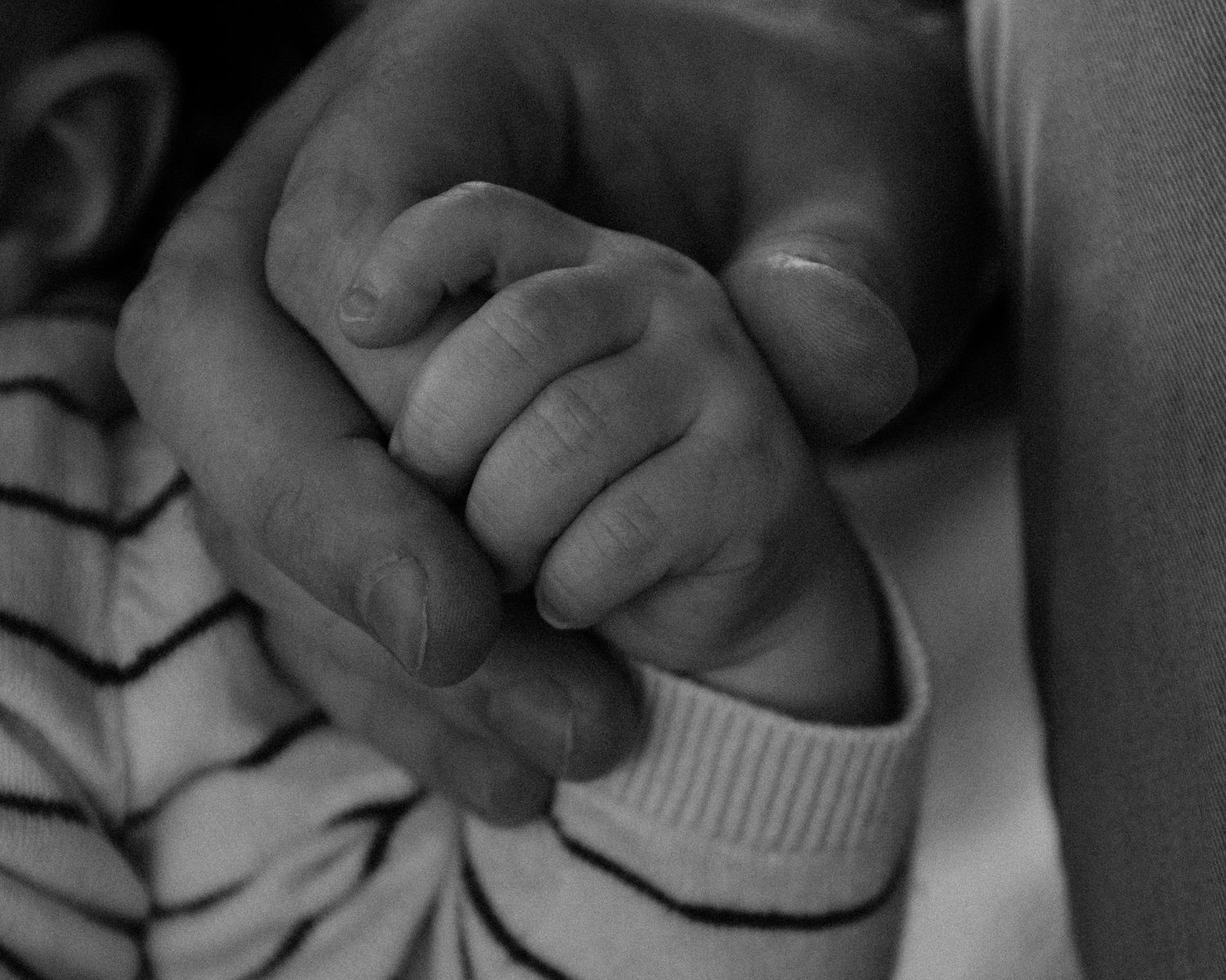 A tiny baby hand gently gripping an adult finger in a tender black and white close-up.