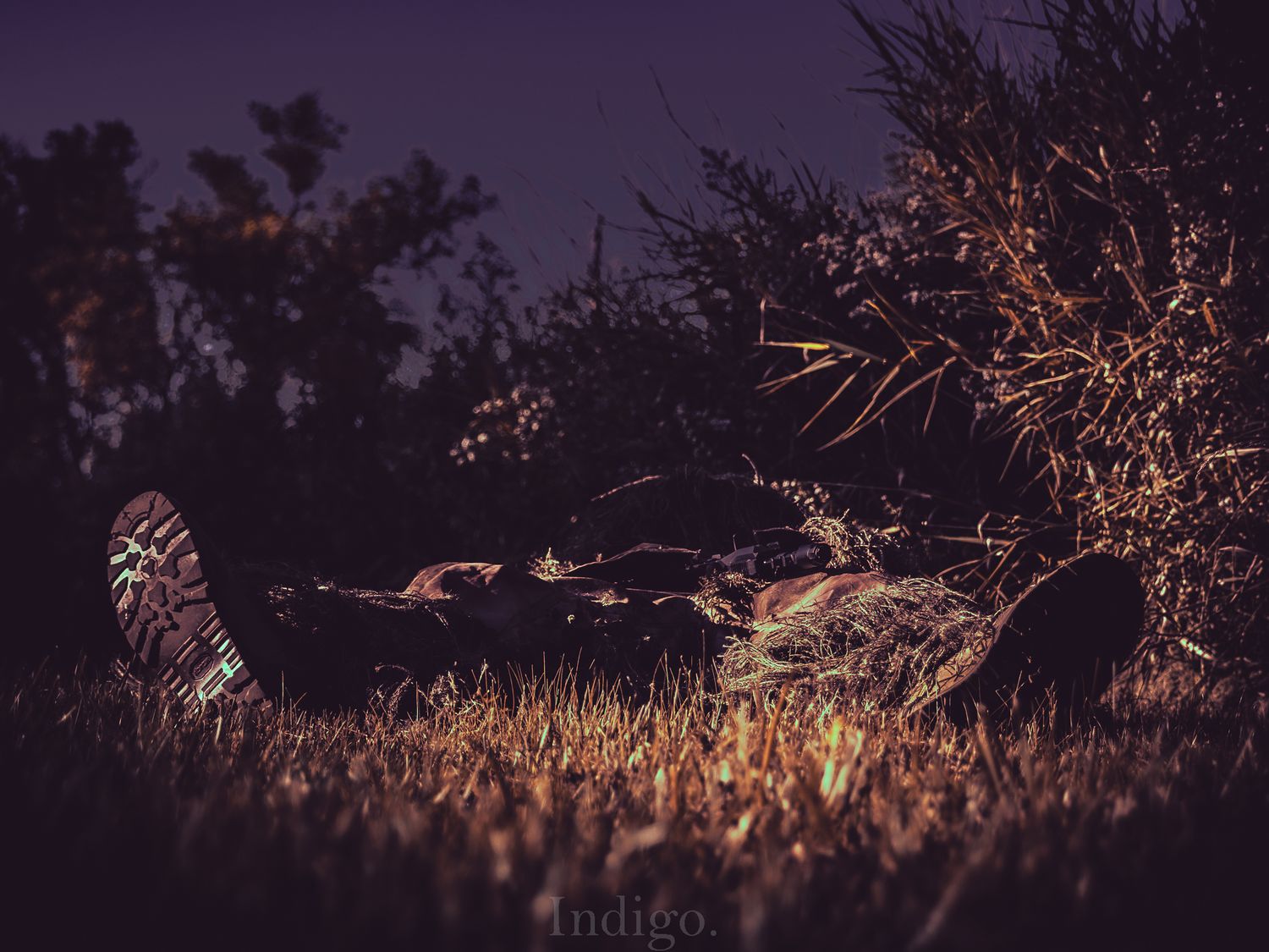 Silhouette of wildlife against a golden sunset with tall grass in the foreground.