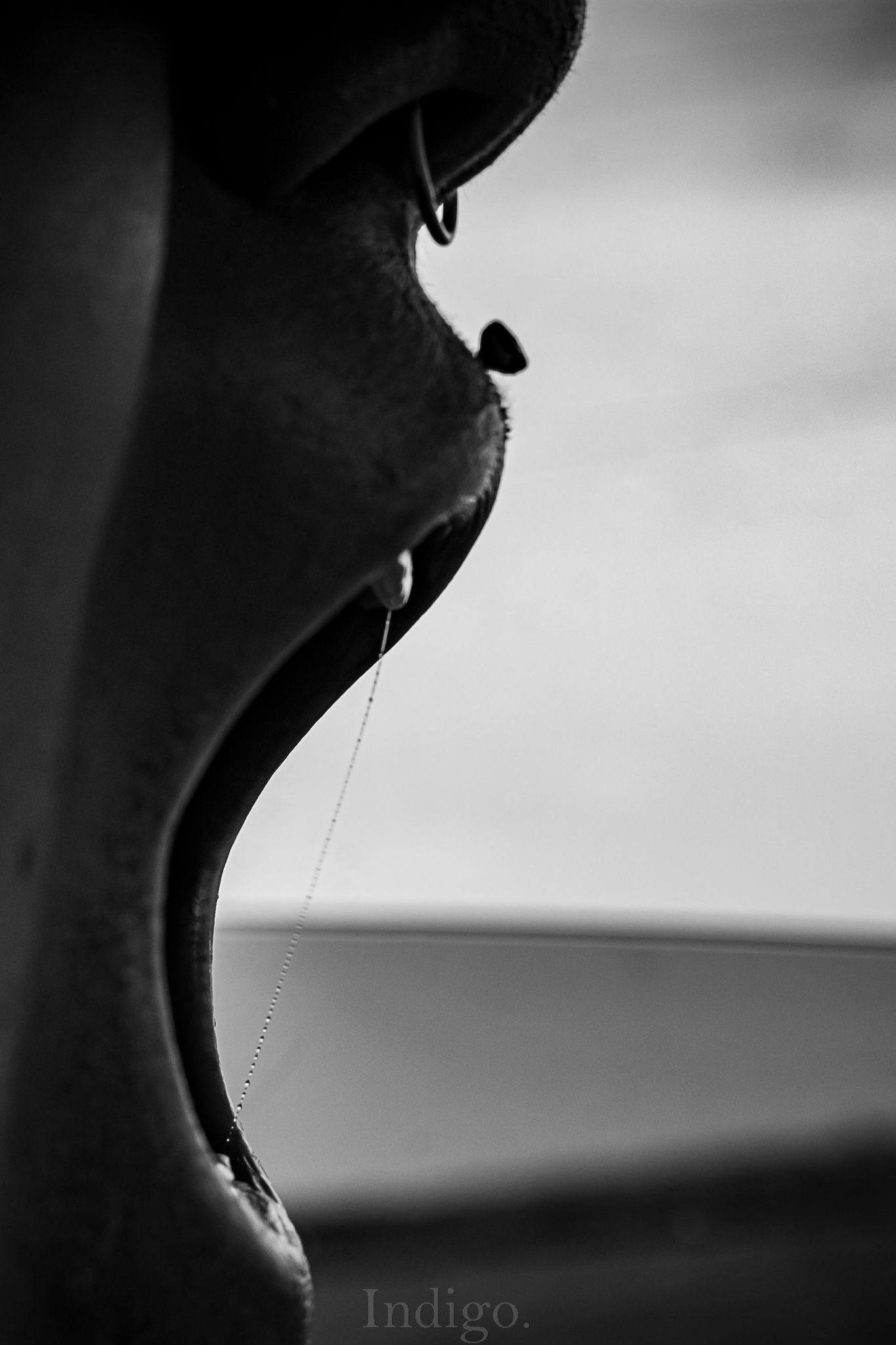 Artistic black and white close-up silhouette of an open mouth against a light background.