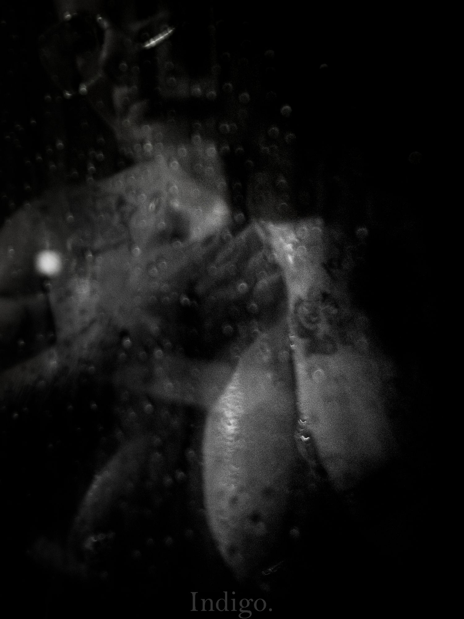 Abstract black and white photograph showing blurred dark shapes and textures.