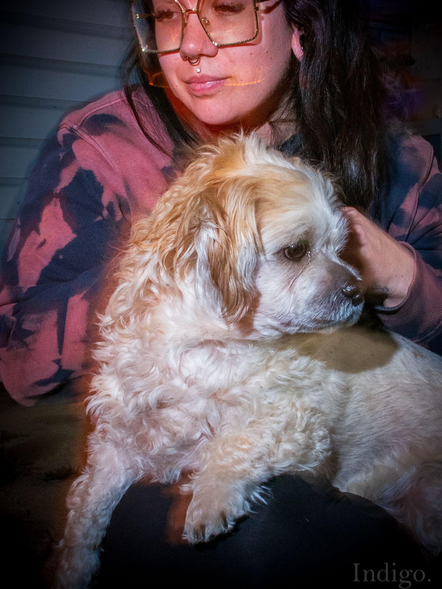 Person cuddling with a fluffy white dog in warm lighting.
