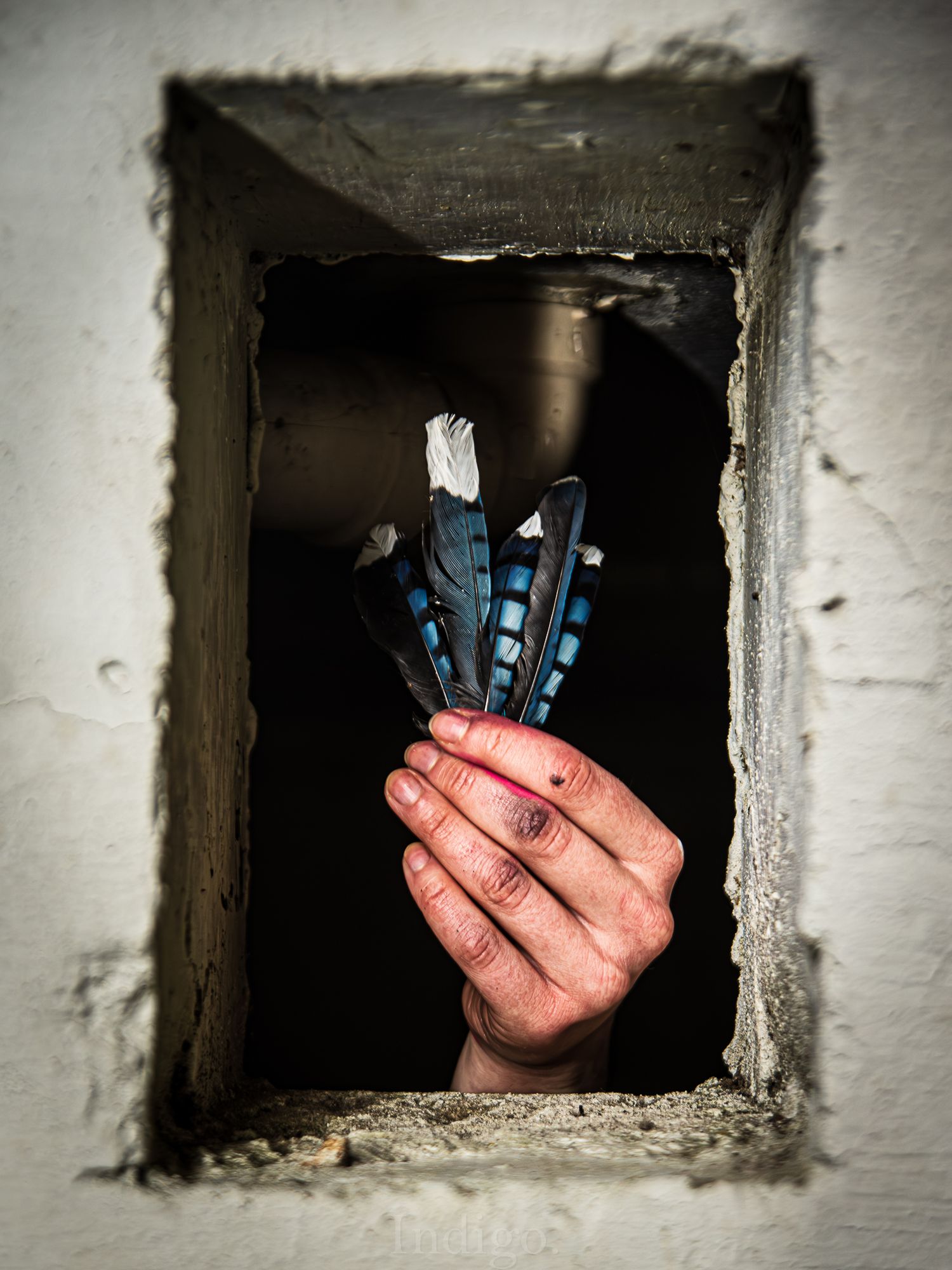 Hands reach through small openings in a concrete wall holding blue playing cards.