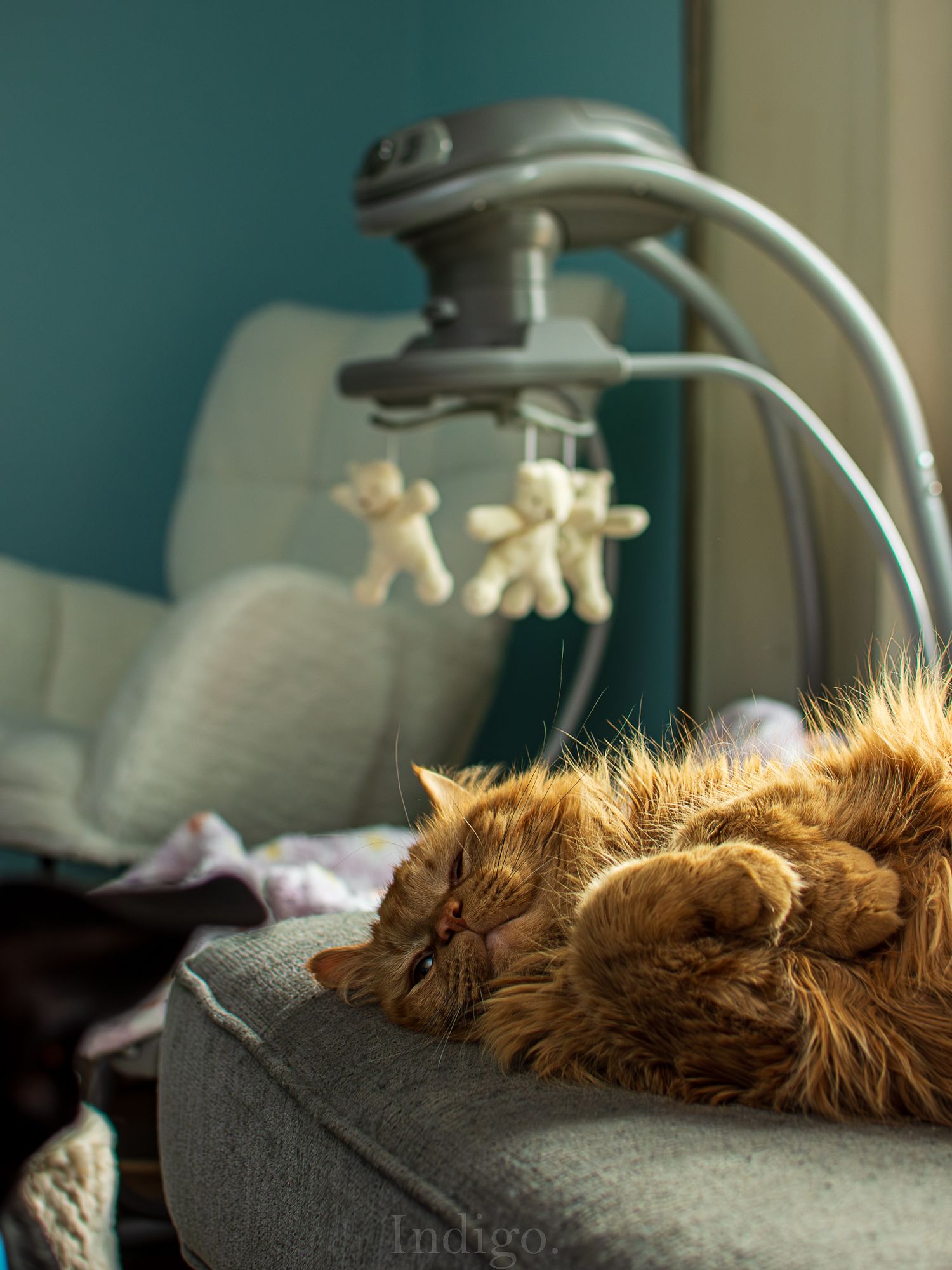 Ginger cat lounging in sunlight on a gray surface near a desk lamp.