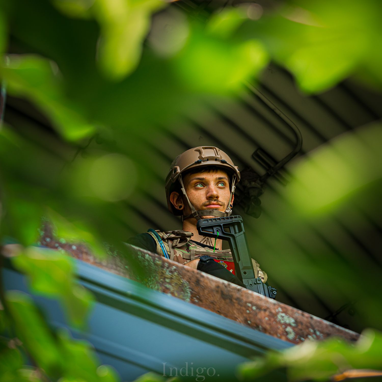 View through foliage of someone positioned behind camouflaged hunting equipment.