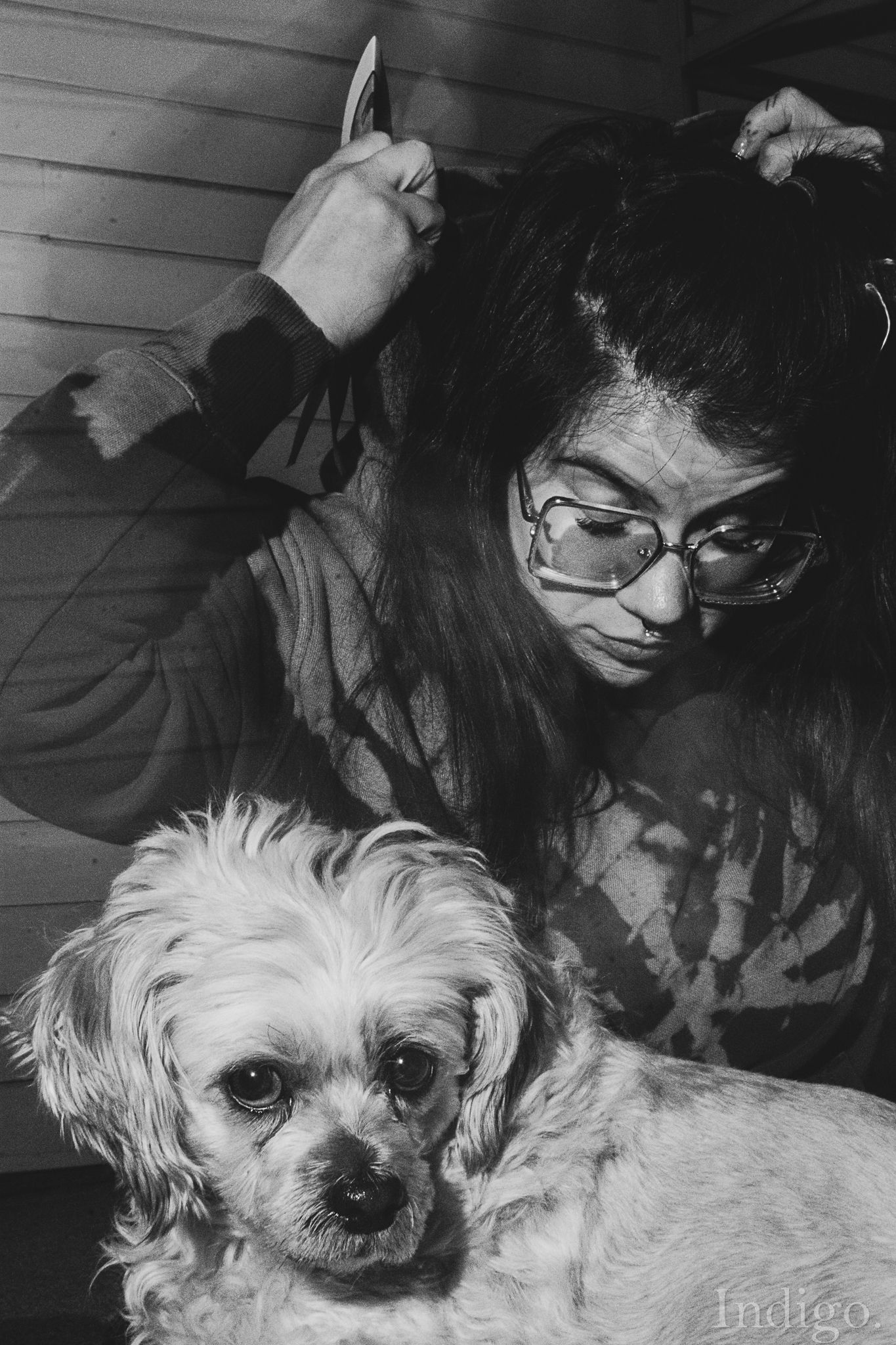 Black and white photograph of a small white fluffy dog.