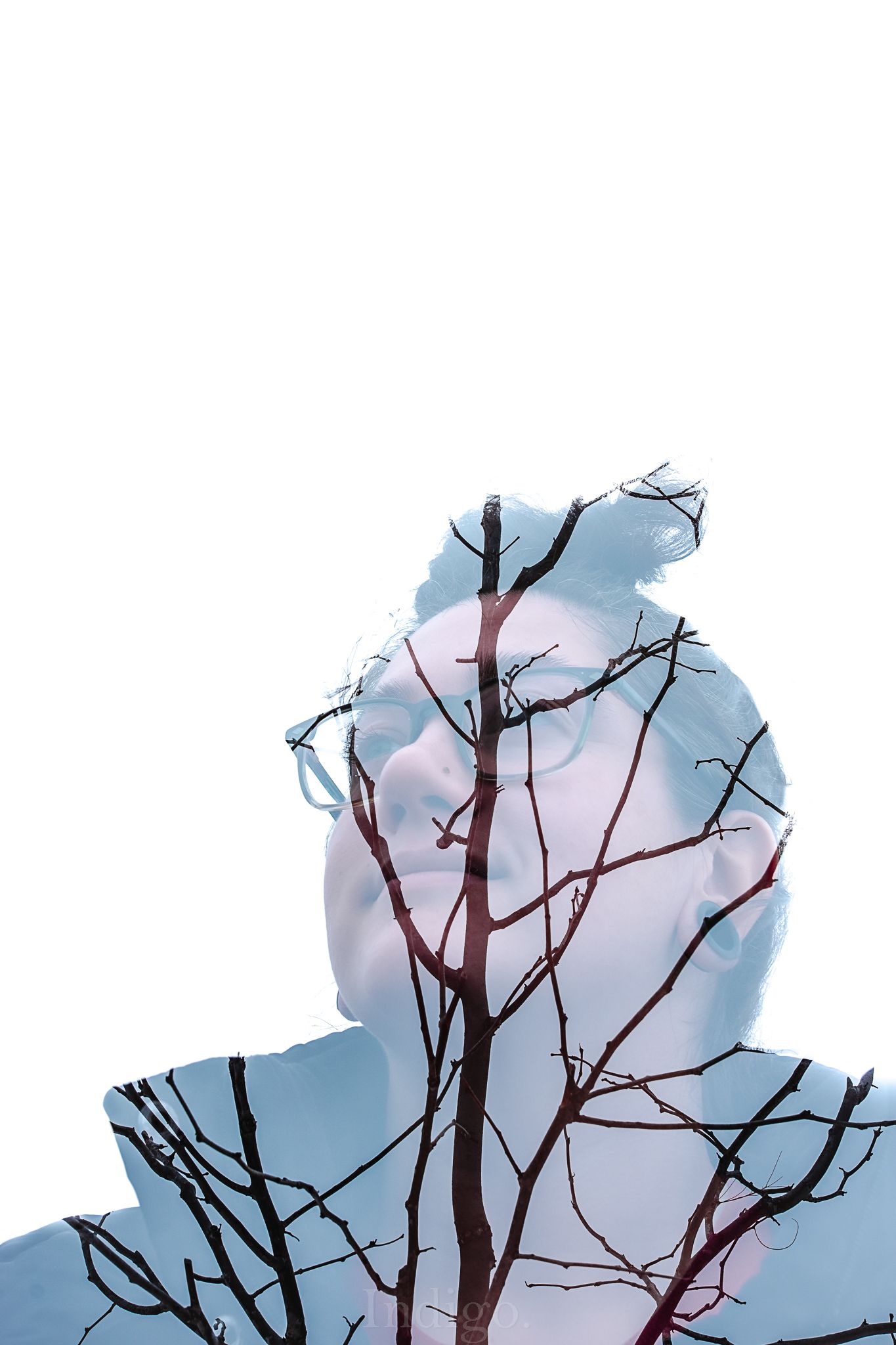Silhouette of bare tree branches against a soft blue sky creating a natural frame.