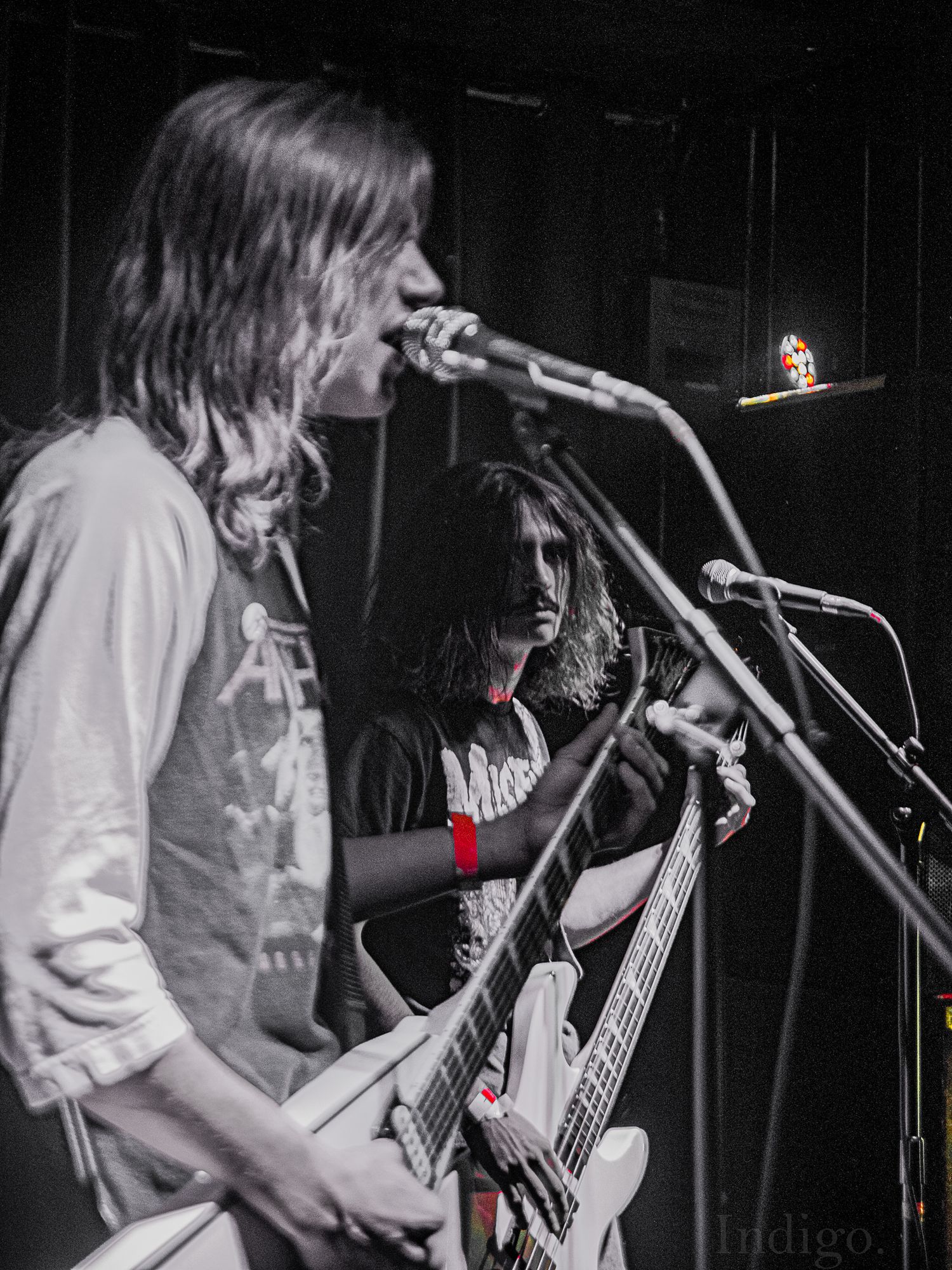 Black and white concert photos show a musician performing with a bass guitar on stage.