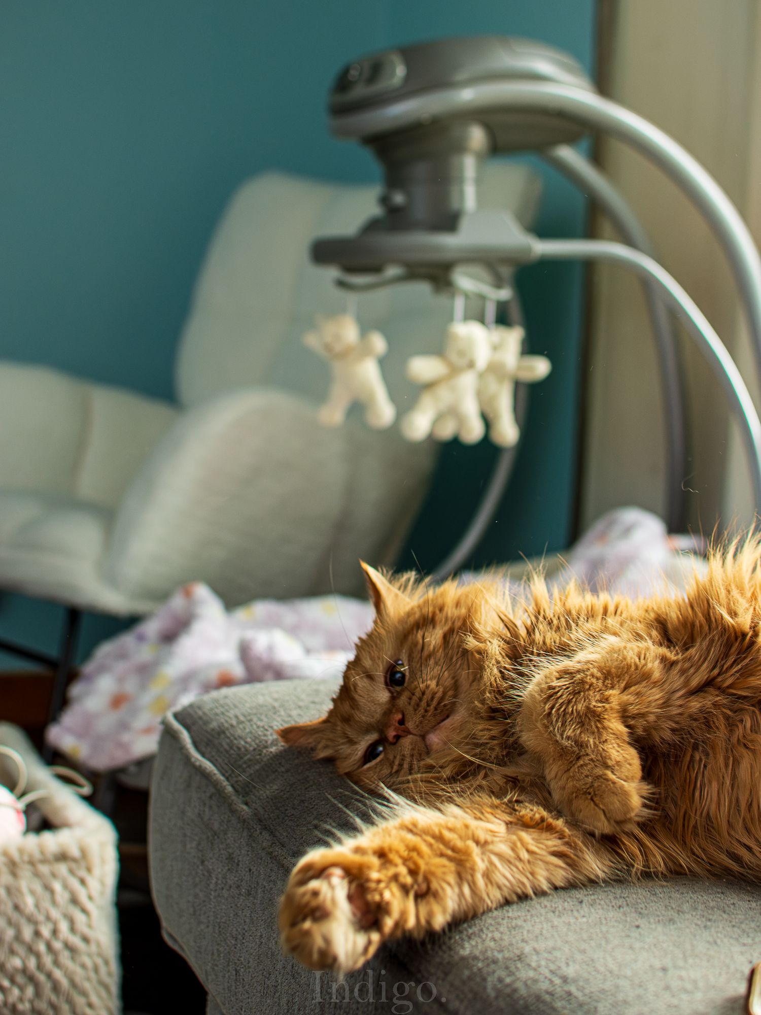 Orange cat basking in warm sunlight on a gray surface with turquoise wall background.