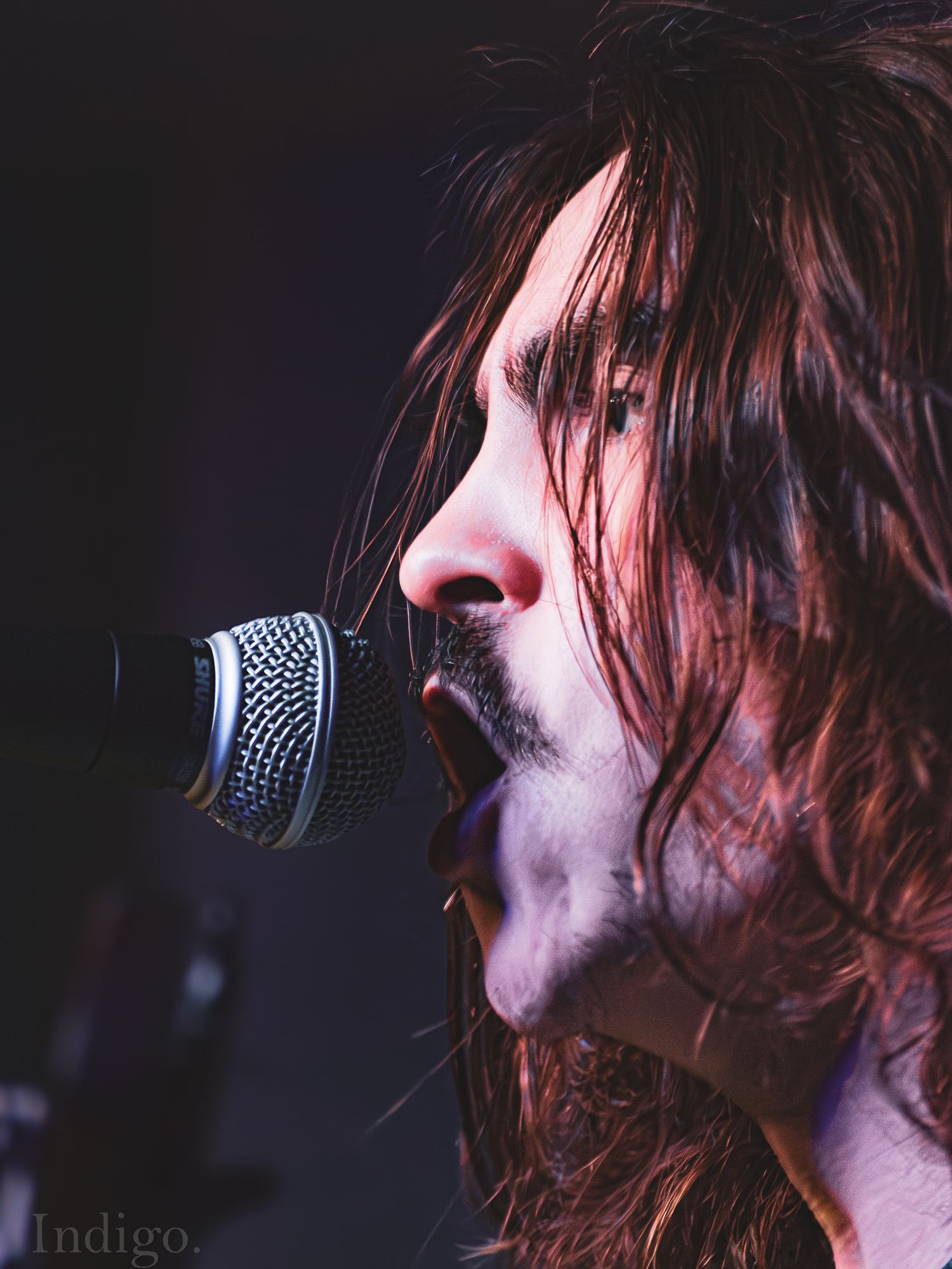 Close-up profile view of a microphone during a dimly lit concert performance.