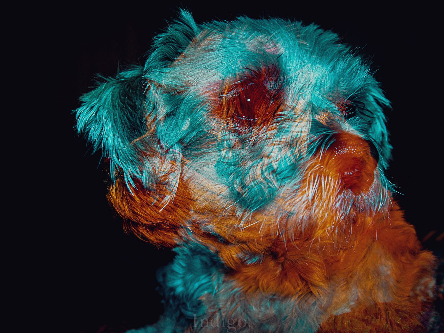 Artistic abstract swirls of turquoise and orange colors blend together against a dark background in a fluid motion pattern.