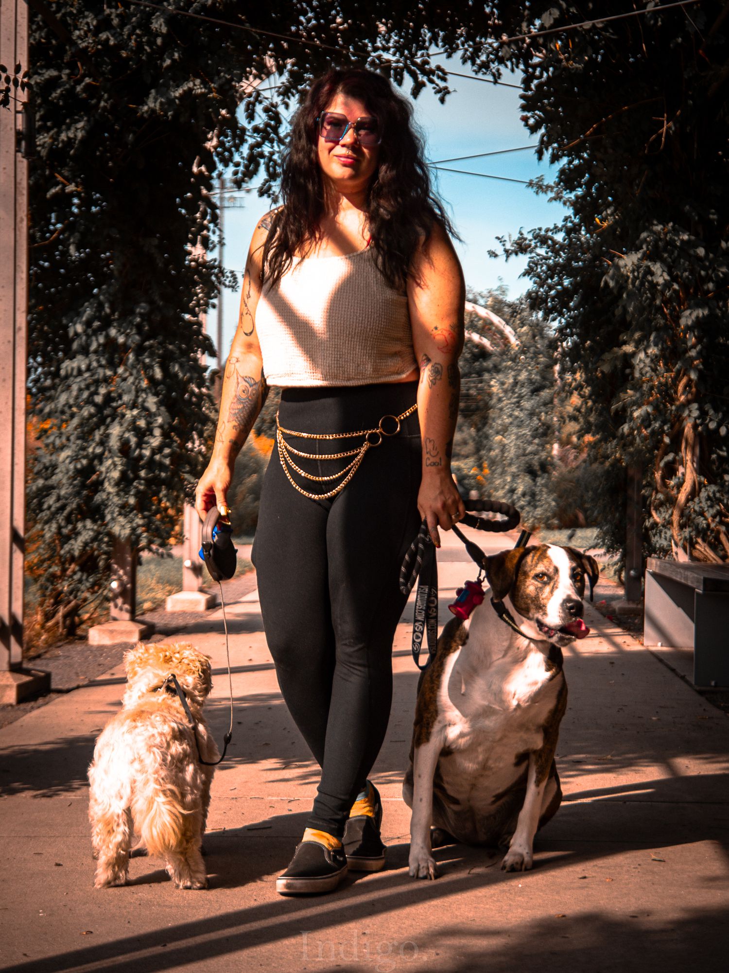 Person in black pants walking a fluffy white dog on a sunny pathway with trees in the background.