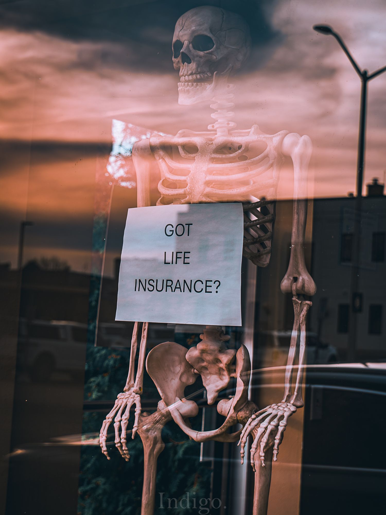 Signs photographed at sunset asking about life insurance with skull imagery.