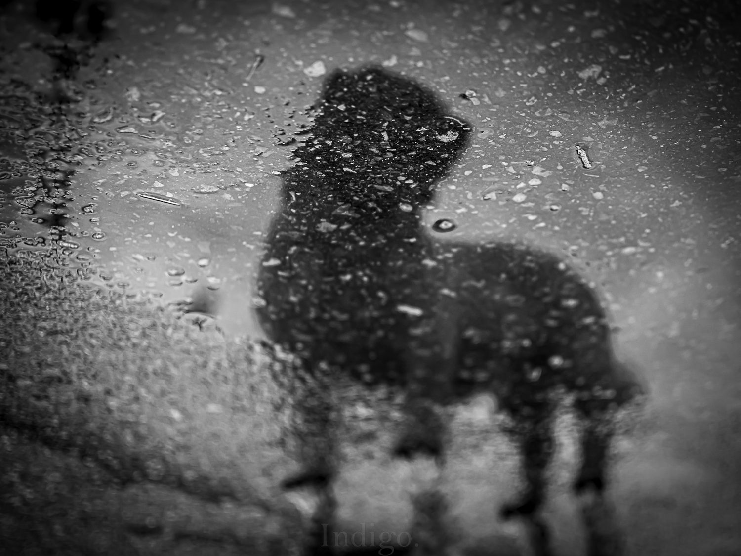 Silhouettes reflected in puddle water creating abstract patterns.
