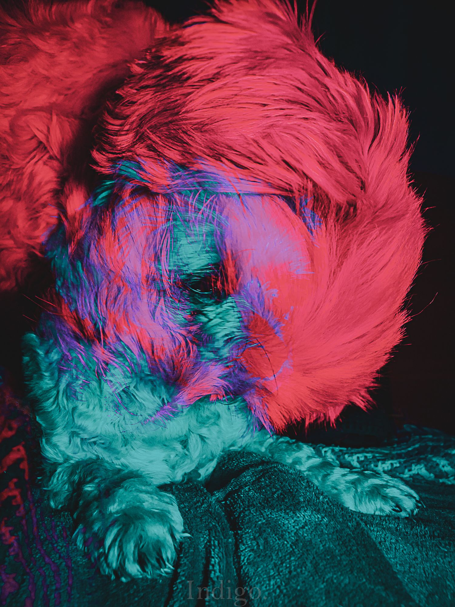 Abstract art series showing vibrant pink feathers transitioning to turquoise in a dark moody setting.