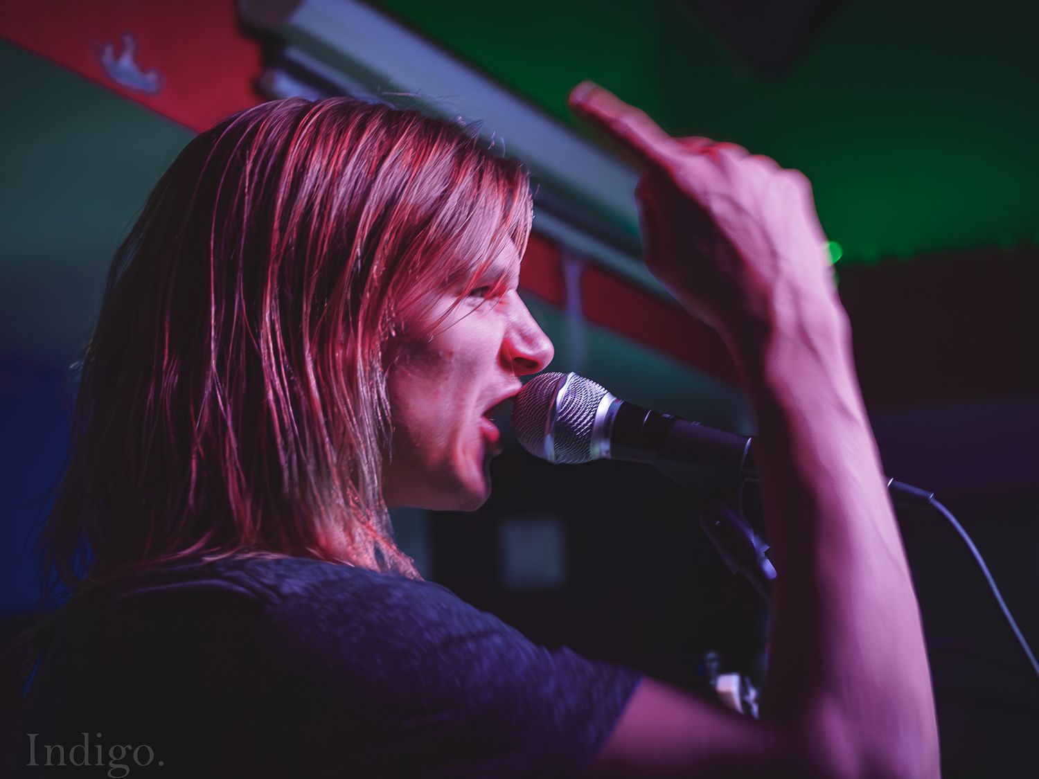 Concert performer singing into microphone under green and red stage lighting.