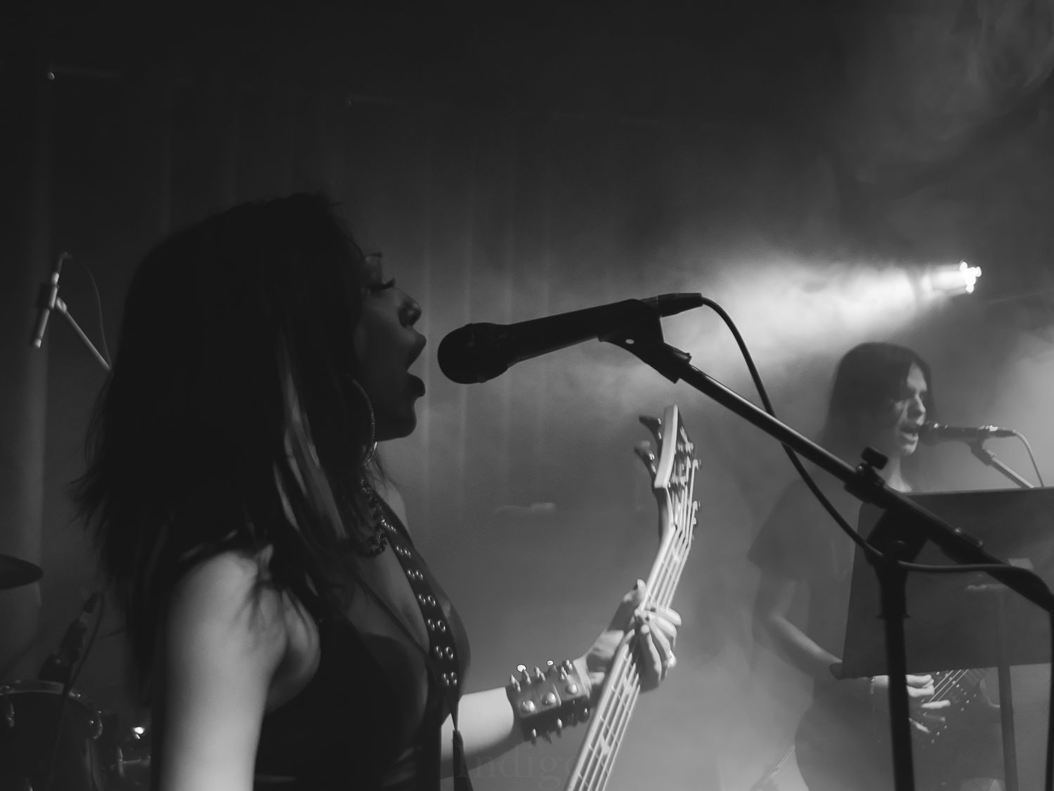 Concert performance with musician singing into microphone in atmospheric lighting.