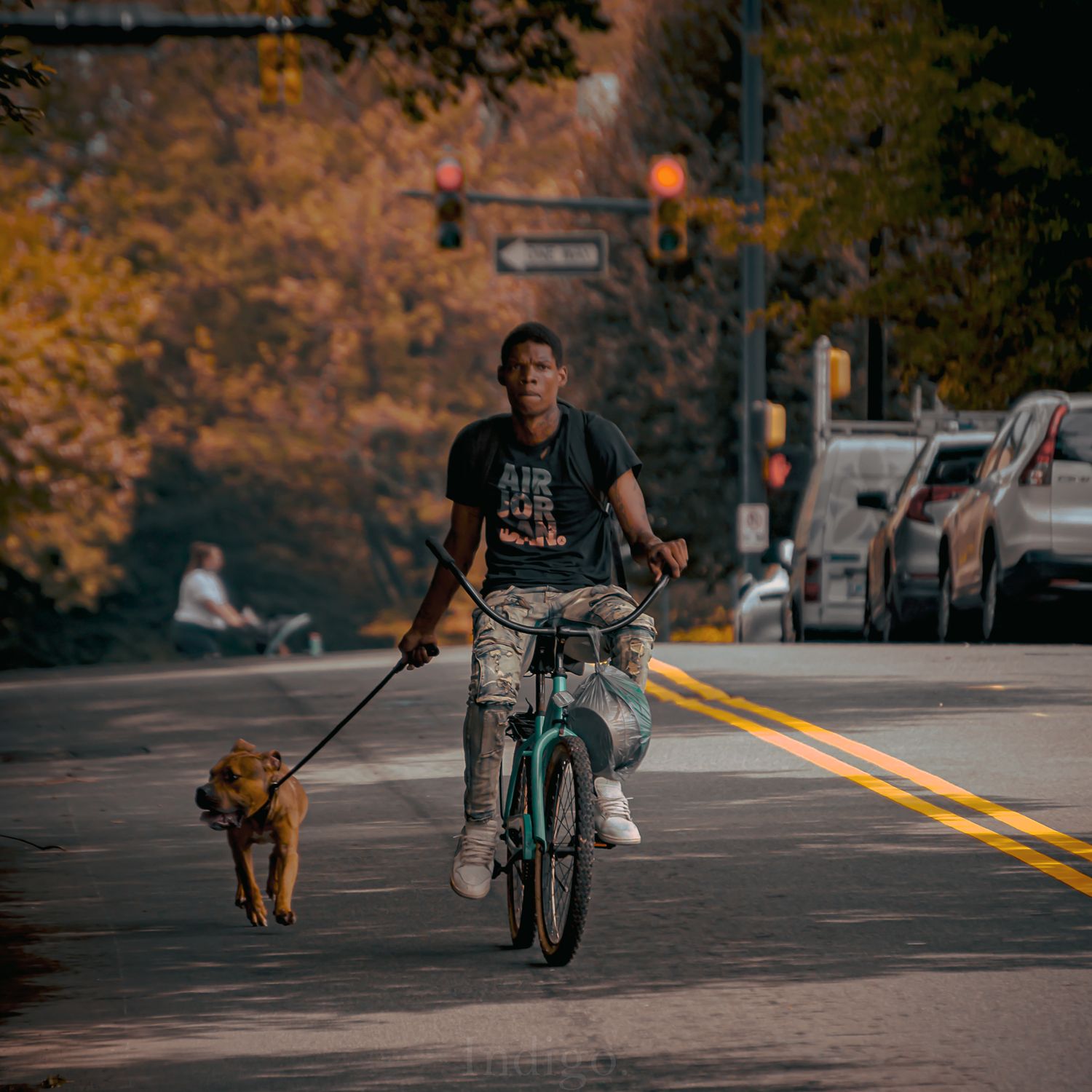 Someone riding a bicycle on a street with a dog running alongside.