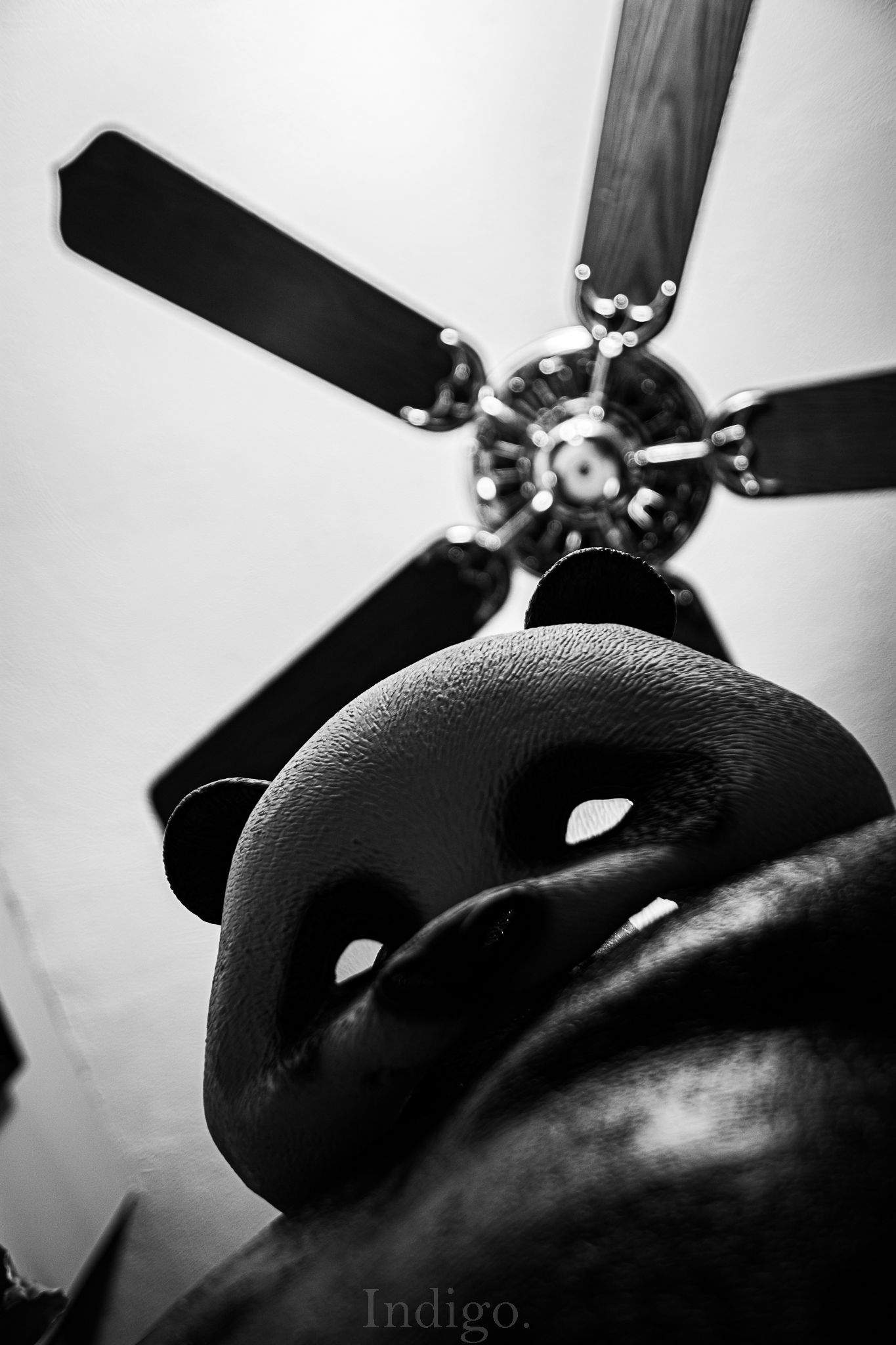 Close-up black and white shot of a stuffed animal toy with large ears against a light background.
