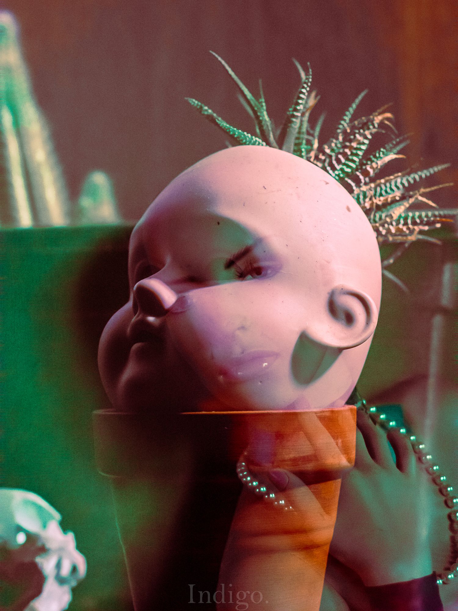 Close-up artistic photo of a pink ceramic planter with small succulent plants against a green background.