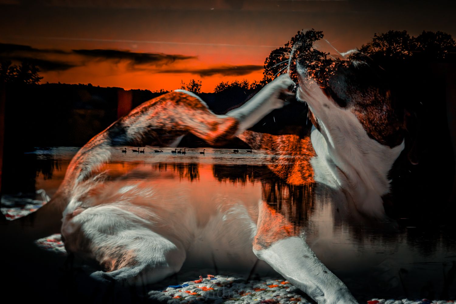 Dramatic orange sunset sky reflected in calm water with silhouetted landscape elements creating a moody atmosphere.