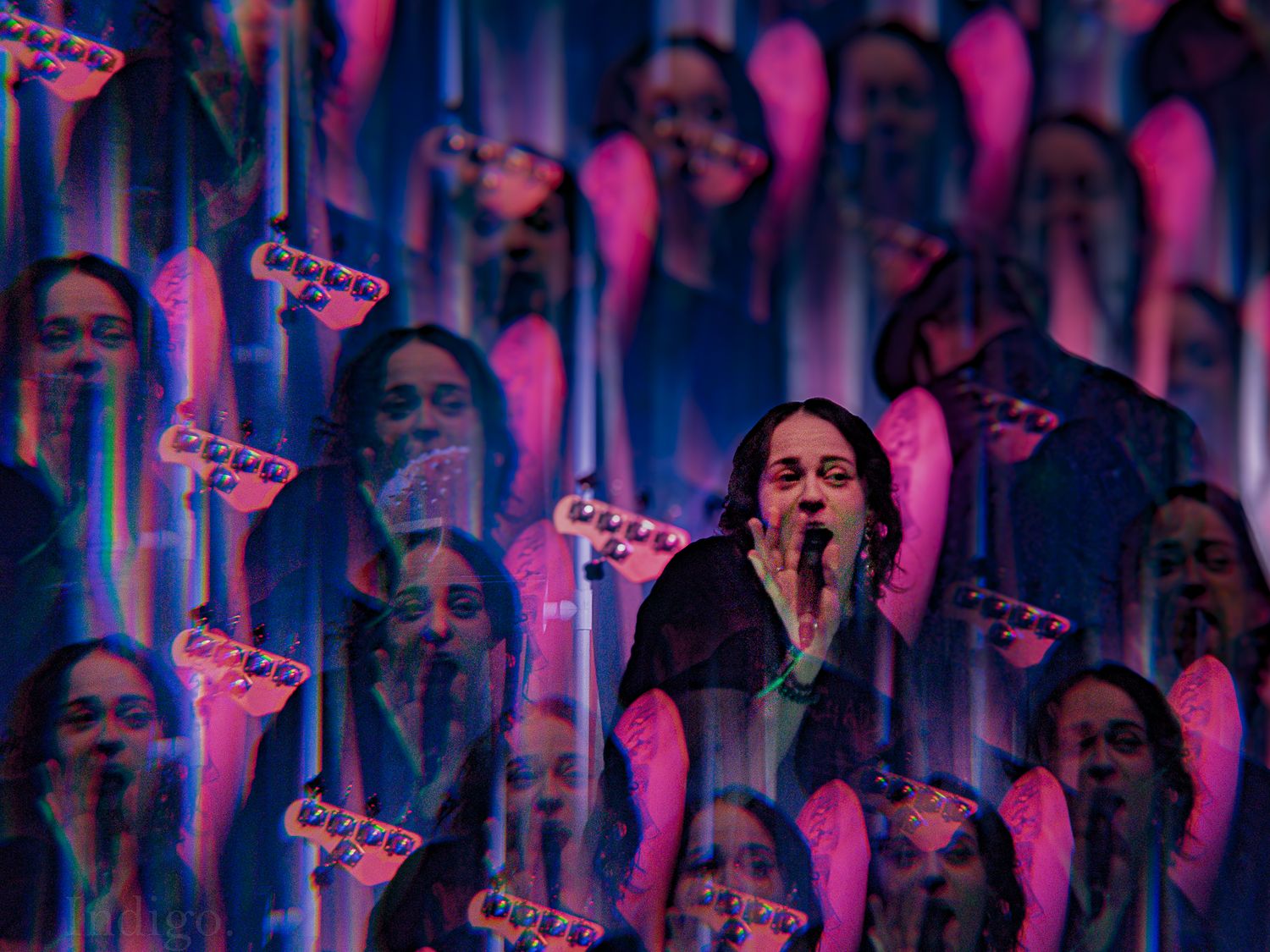 Audience members bathed in pink and blue lighting during live music performance.