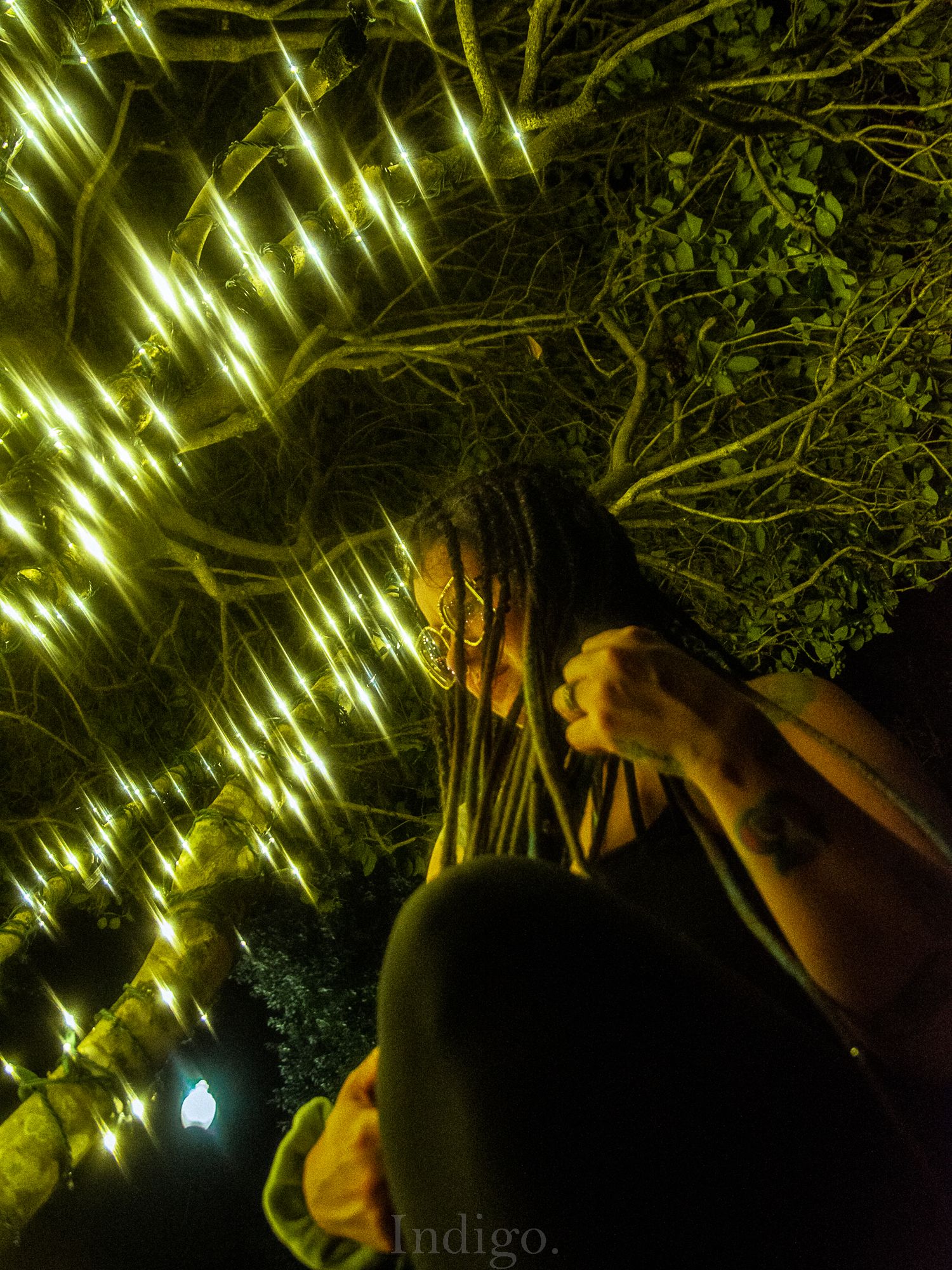 String lights illuminate tree branches at night creating a magical outdoor atmosphere.