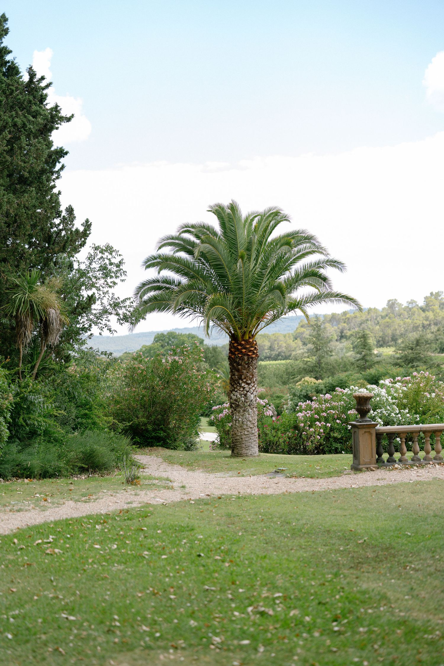 A lush garden with a tall palm tree, green lawn, and scenic rolling hills in the background.