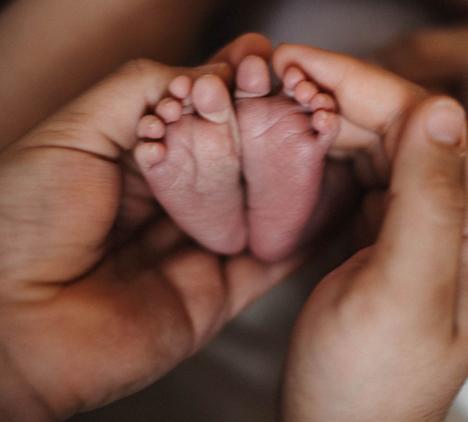 Oakville photographer capturing tiny feet and toes of newborn wrapped around mom's hands