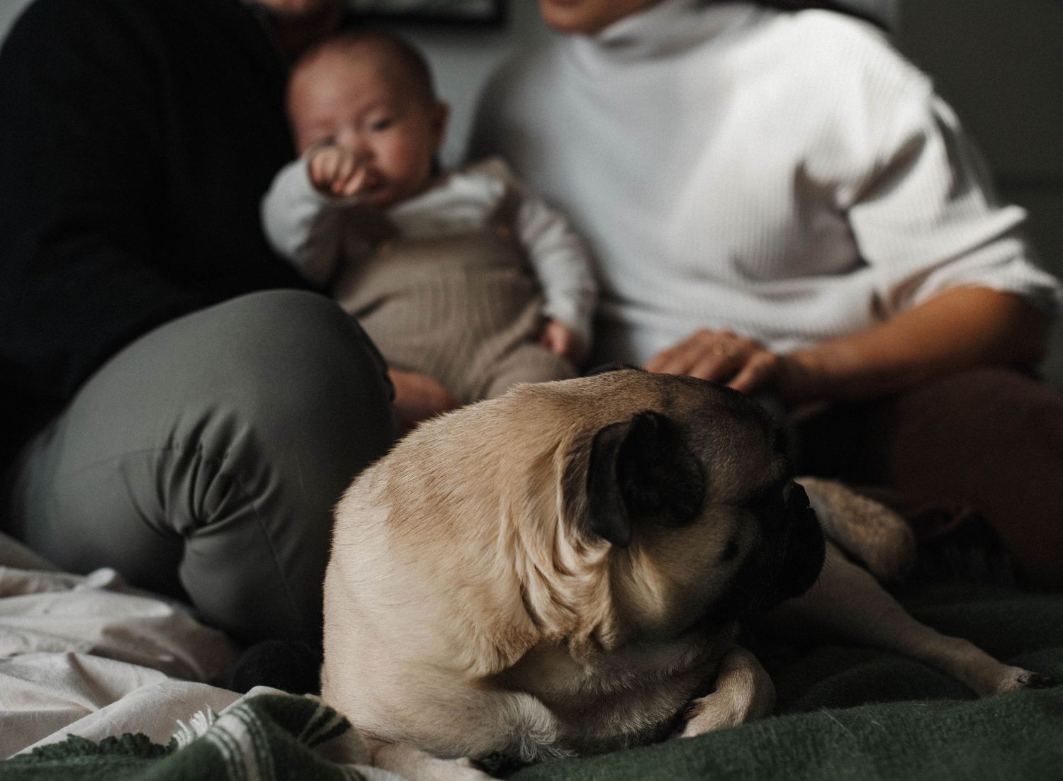 Candid family photography moment of family soothing their baby at home with dog in front of them in bed