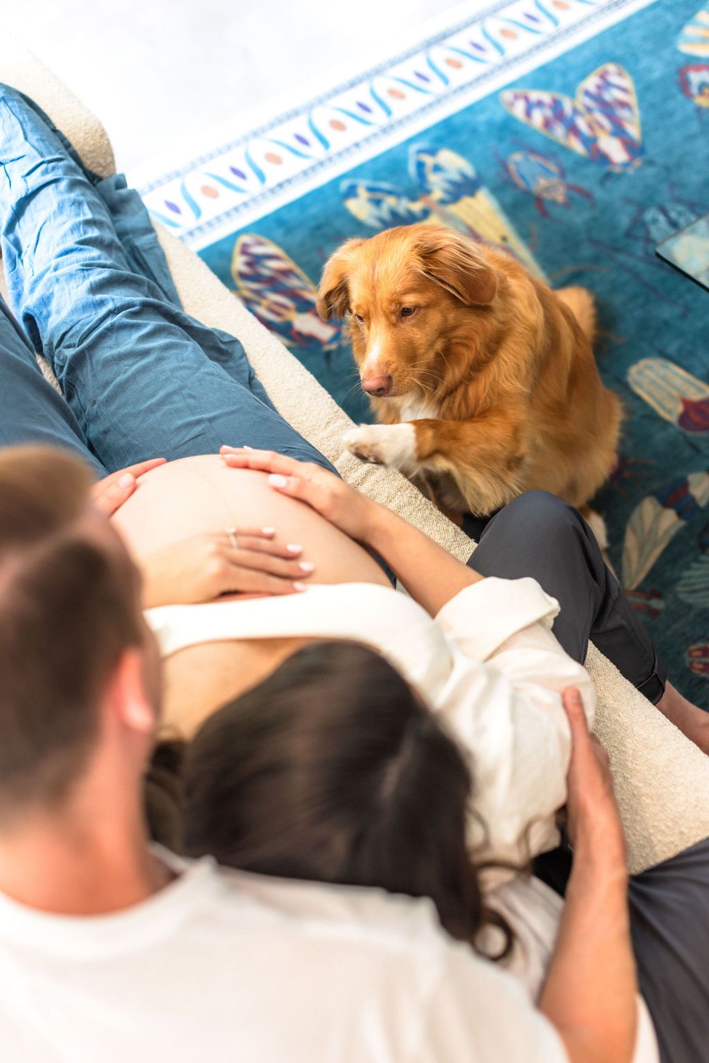 Dog plays with couple during candid at-home maternity session in Austin, Texas