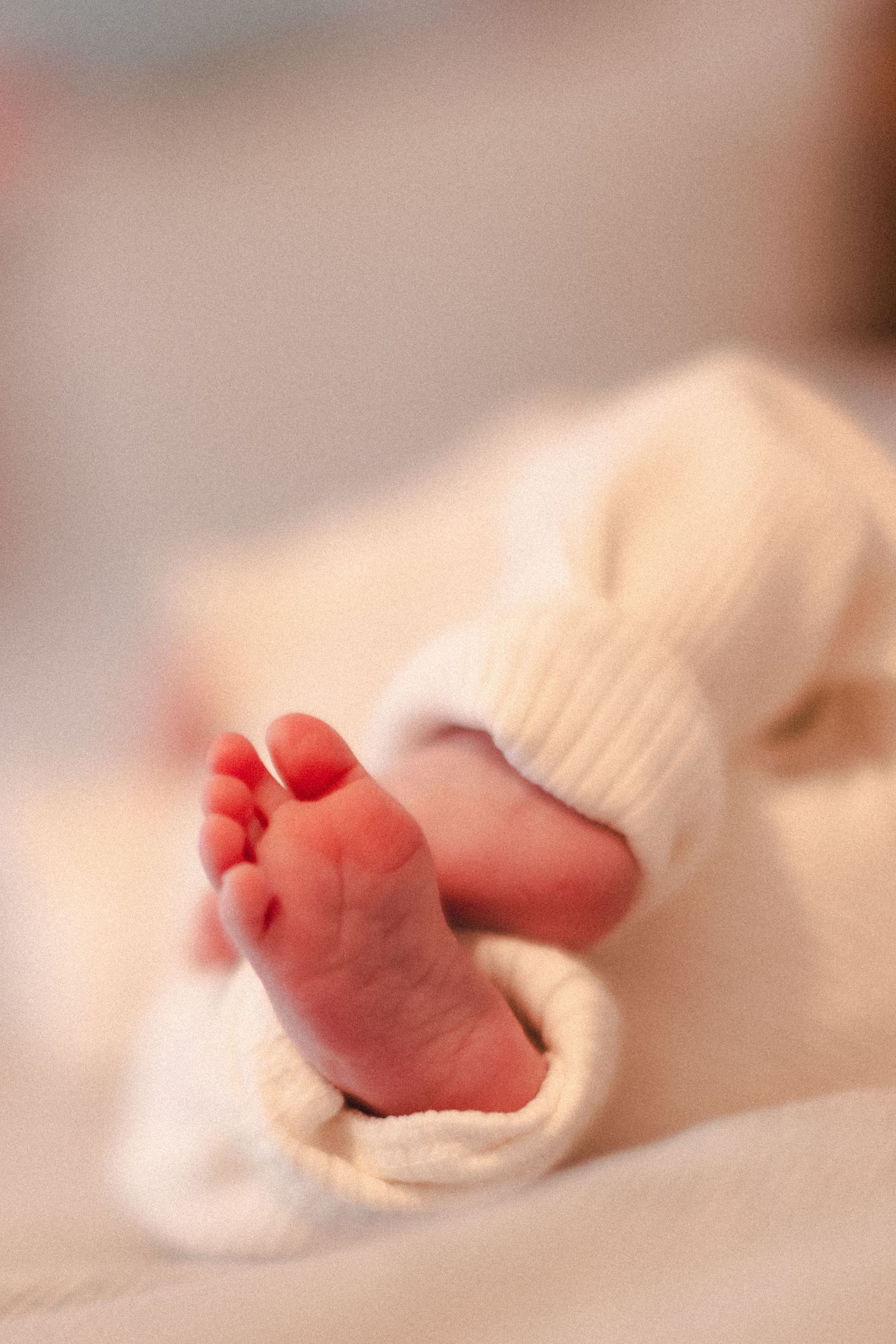 Detail photo of newborn baby's feet during at-home newborn session