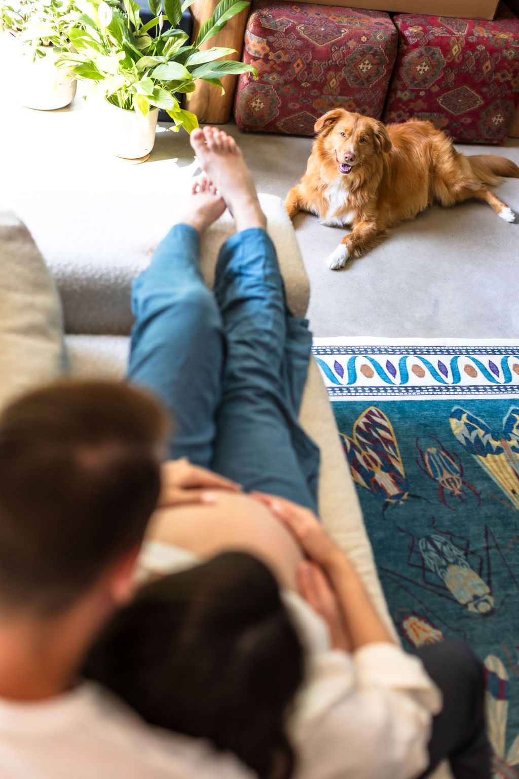 Dog looks at couple during candid at-home maternity session in Austin, Texas