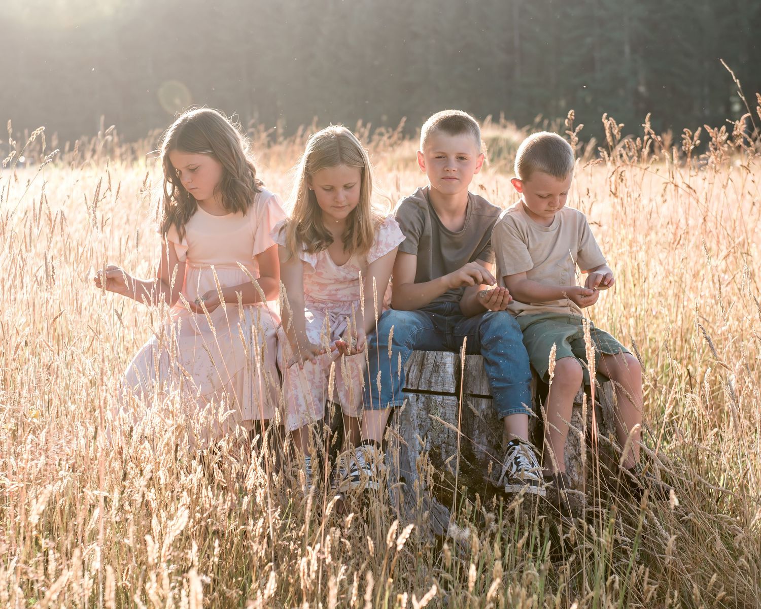Four children sitting together in a golden sunlit field of tall grass, enjoying a warm summer day outdoors.