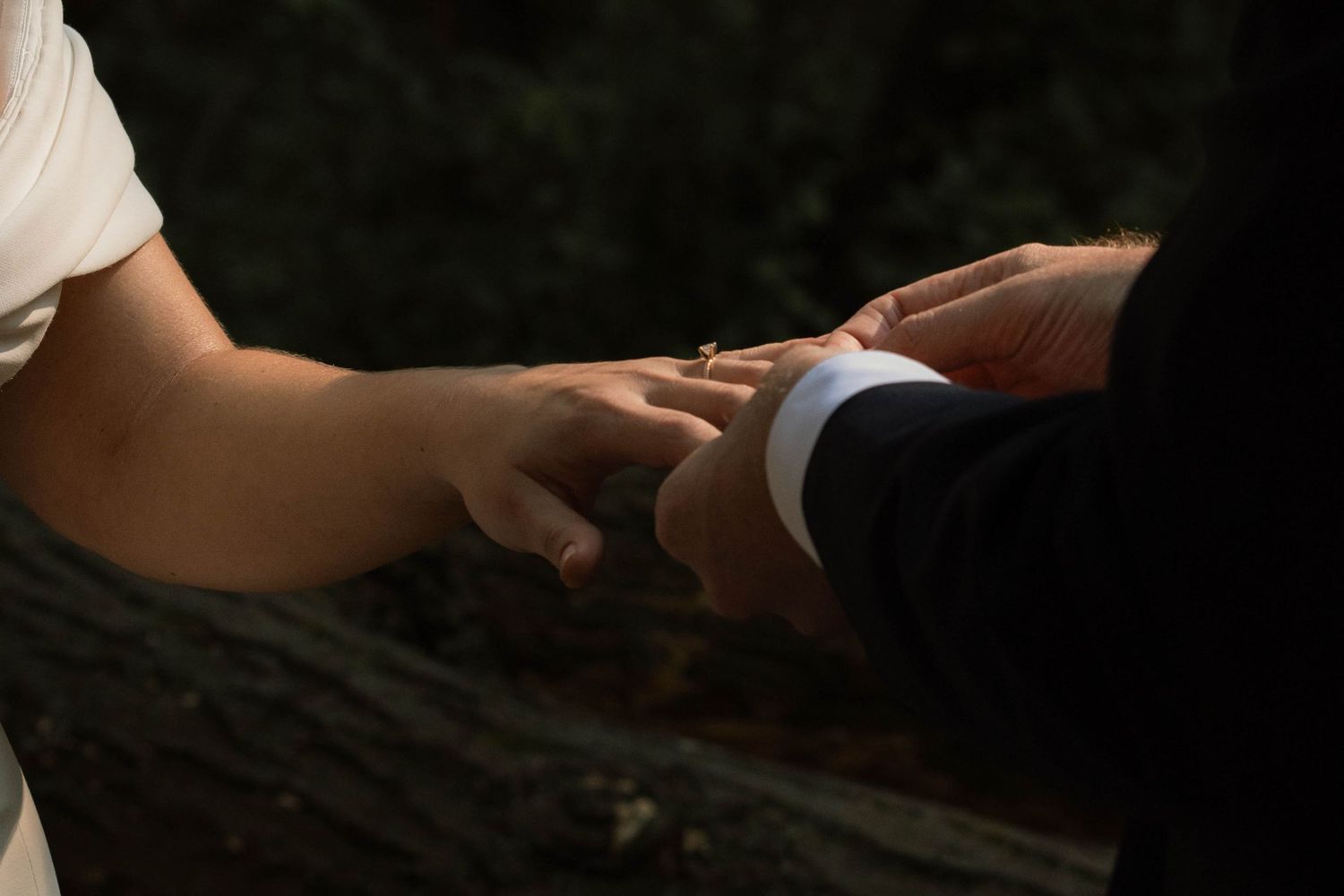 Bride and groom exchanging wedding rings during outdoor ceremony, close-up of hands.