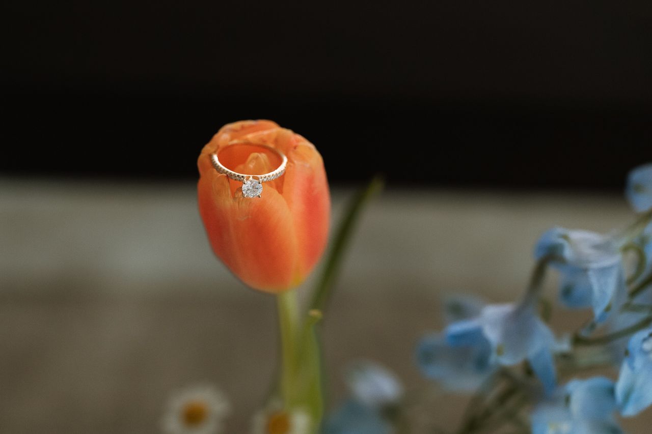 A diamond solitaire engagement ring resting on an orange tulip bloom with blue flowers in the background.