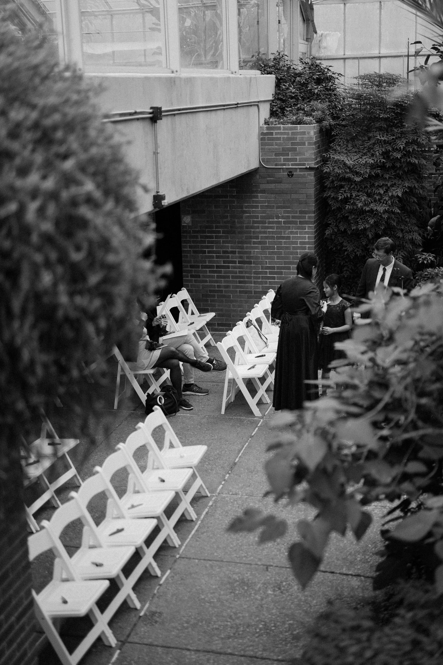 Black and white photo of wedding guests seated in white folding chairs inside a greenhouse venue.